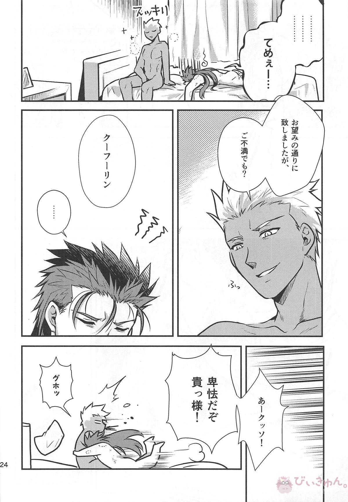 猛犬行動矯正書【Fateシリーズ/弓槍】 page 25