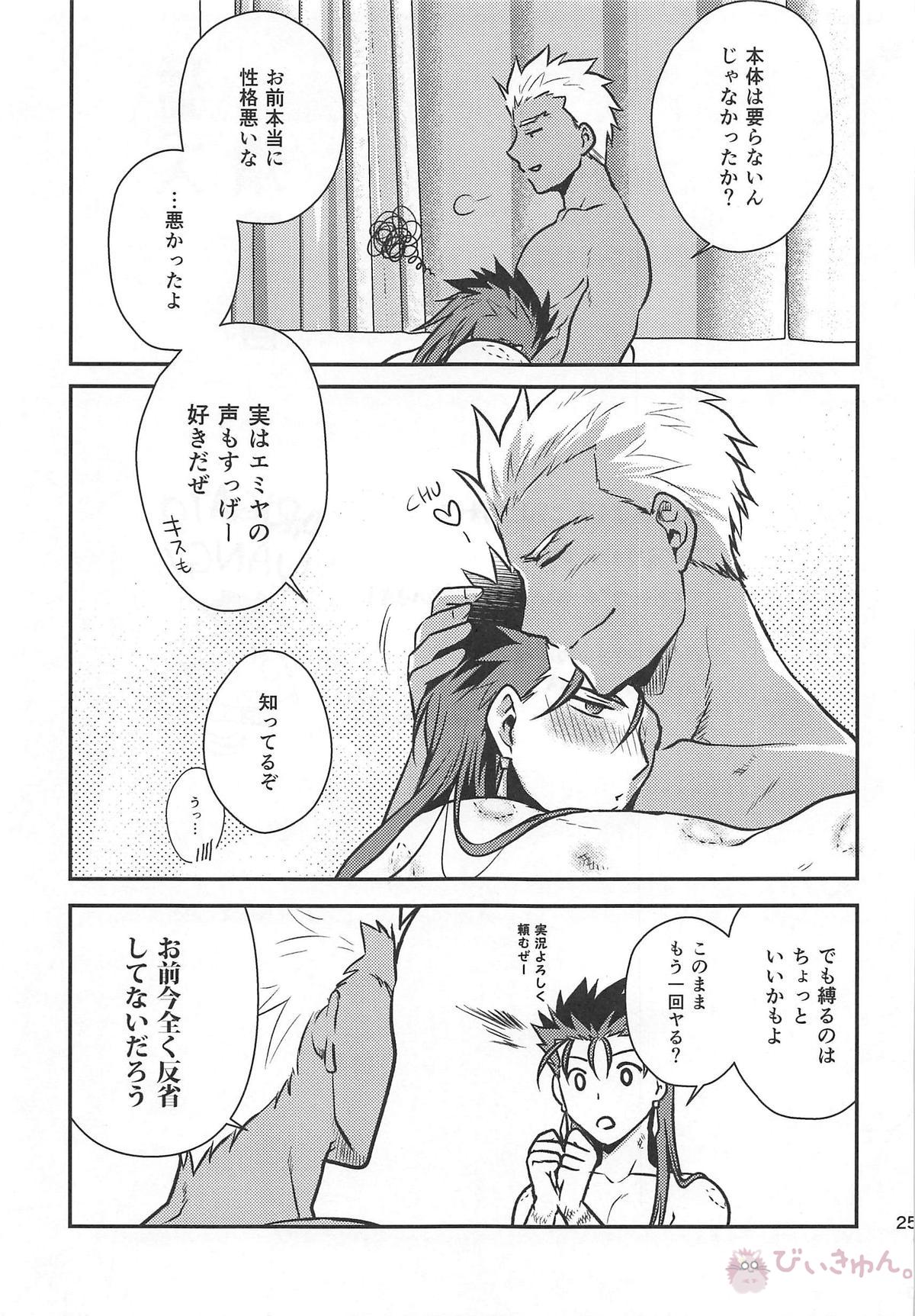 猛犬行動矯正書【Fateシリーズ/弓槍】 page 26