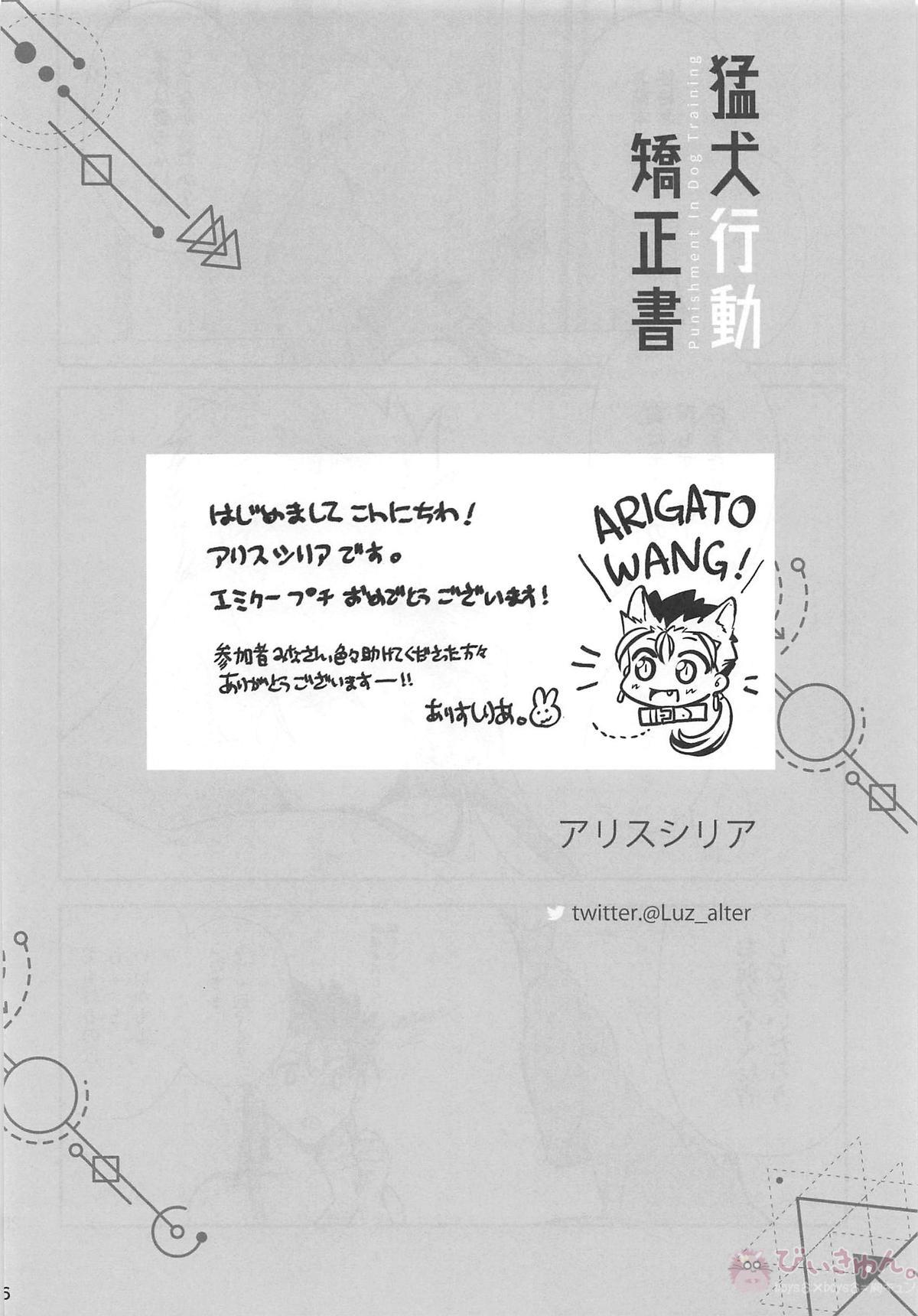 猛犬行動矯正書【Fateシリーズ/弓槍】 page 27