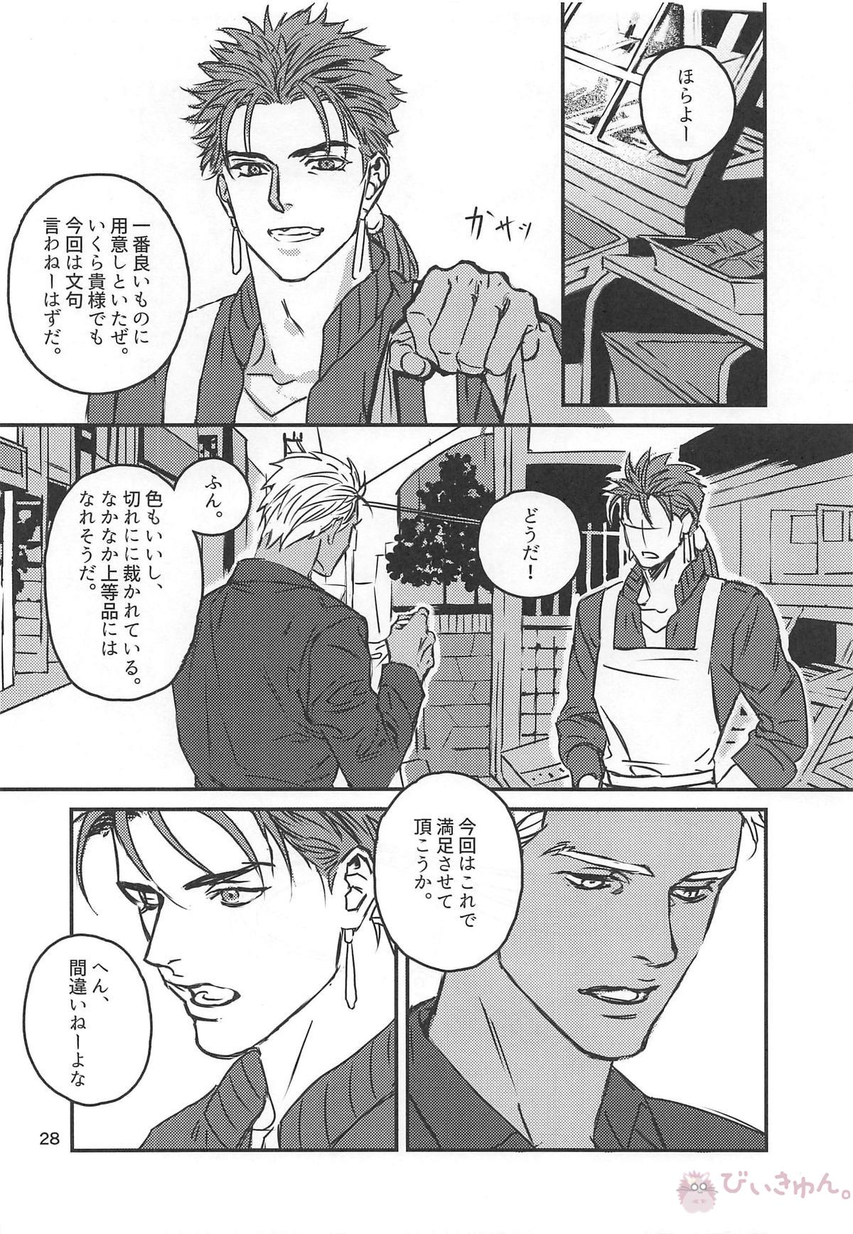 猛犬行動矯正書【Fateシリーズ/弓槍】 page 29