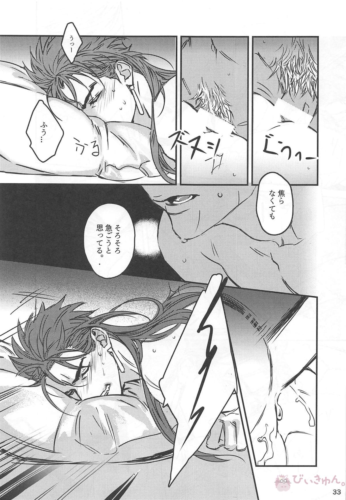 猛犬行動矯正書【Fateシリーズ/弓槍】 page 34
