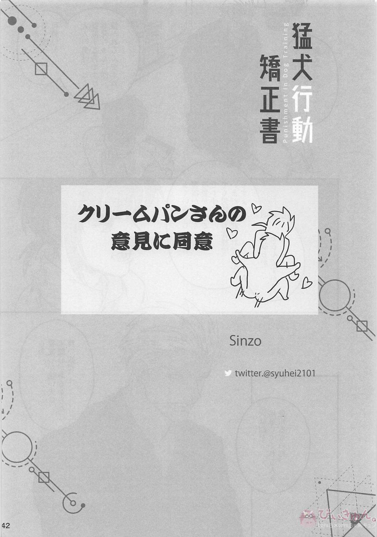 猛犬行動矯正書【Fateシリーズ/弓槍】 page 43