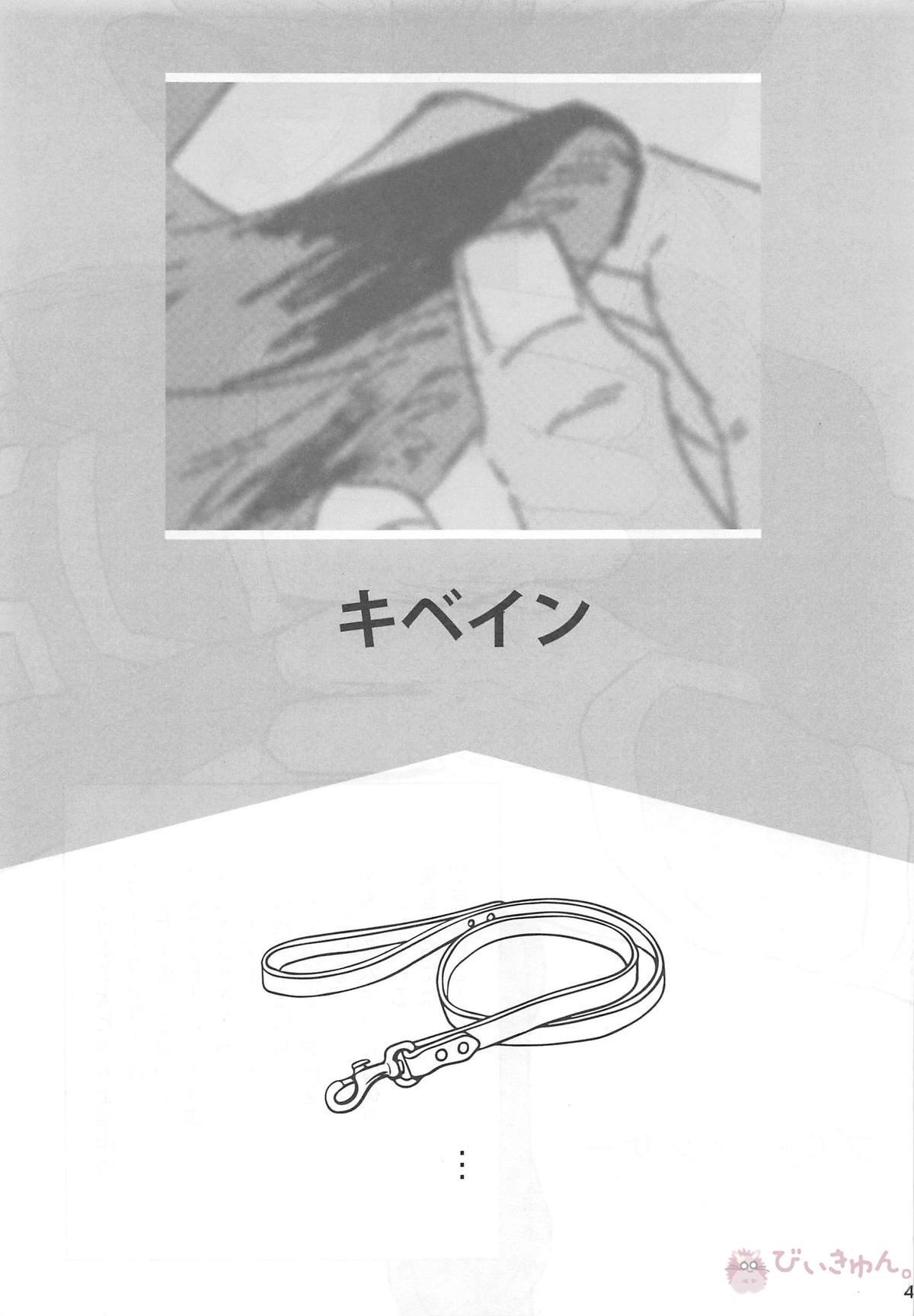 猛犬行動矯正書【Fateシリーズ/弓槍】 page 44