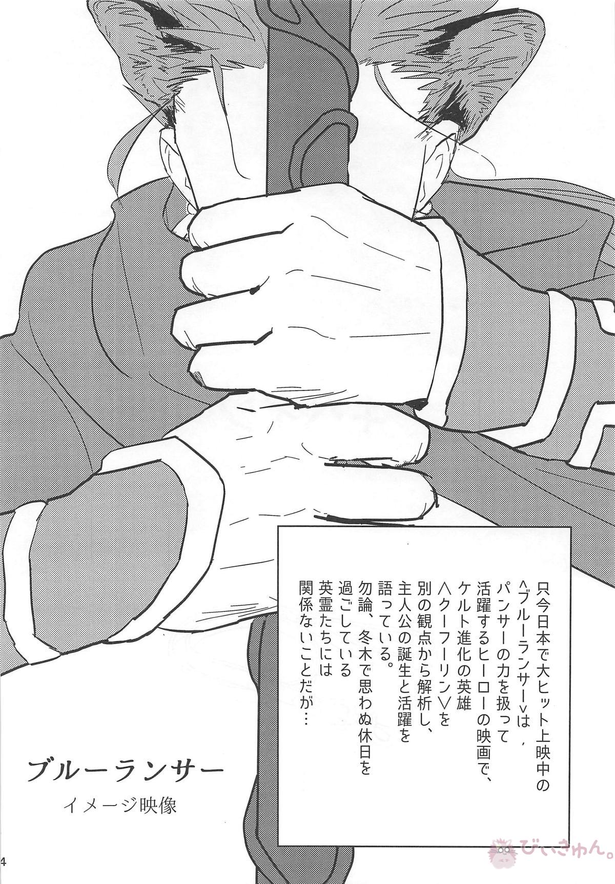 猛犬行動矯正書【Fateシリーズ/弓槍】 page 45