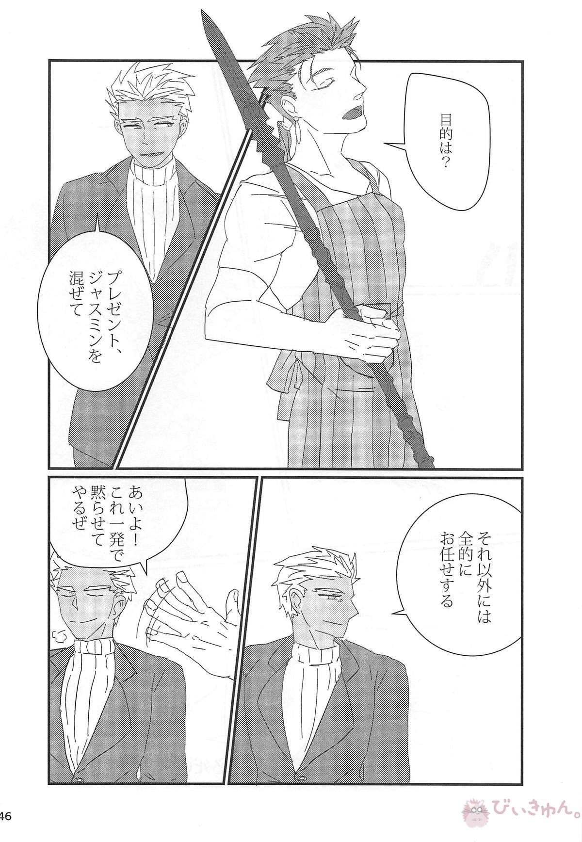 猛犬行動矯正書【Fateシリーズ/弓槍】 page 47