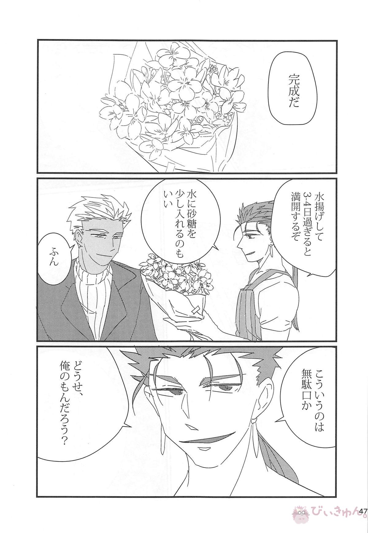 猛犬行動矯正書【Fateシリーズ/弓槍】 page 48