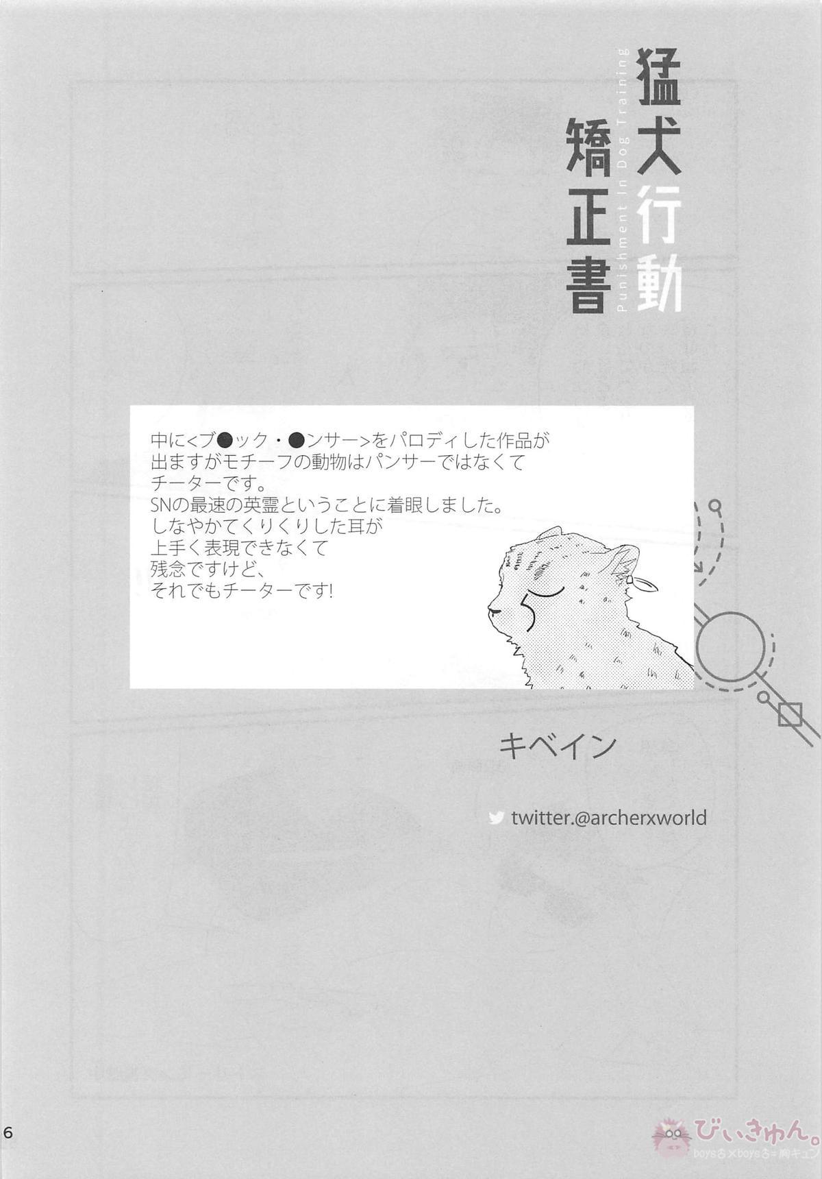 猛犬行動矯正書【Fateシリーズ/弓槍】 page 57