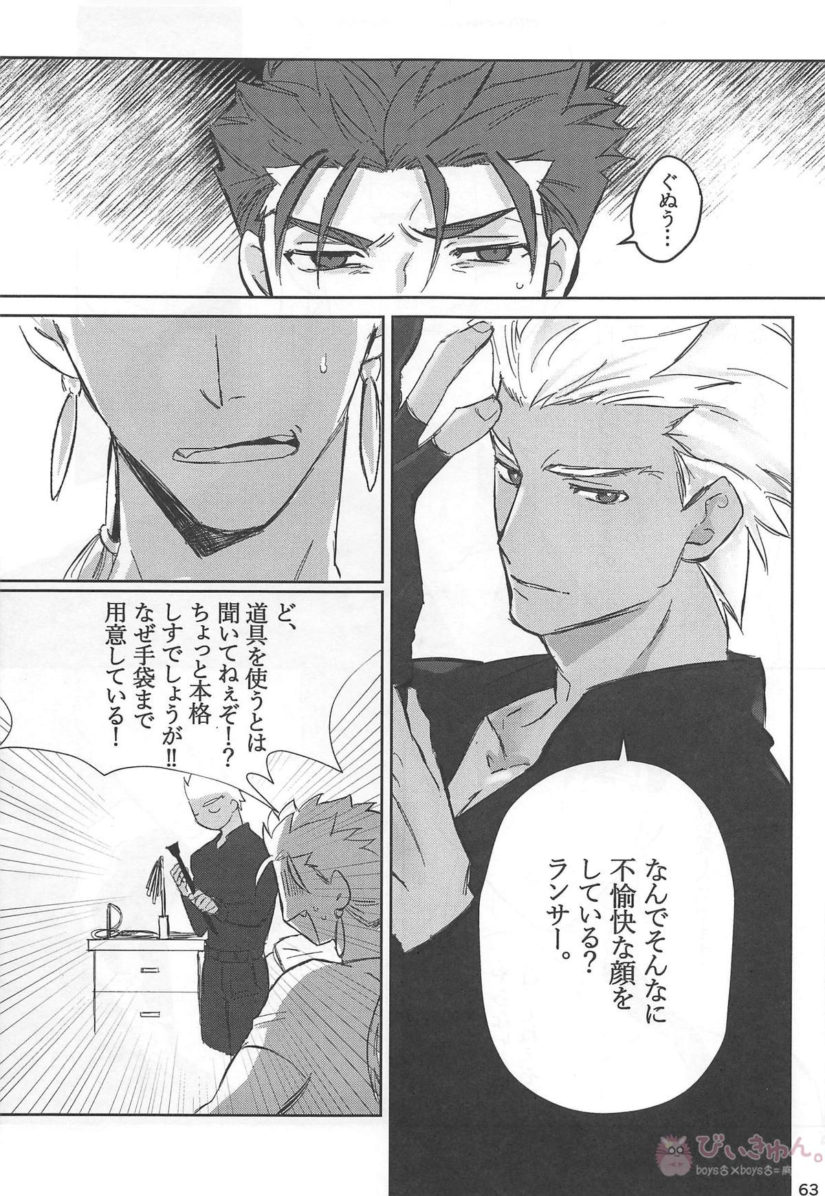 猛犬行動矯正書【Fateシリーズ/弓槍】 page 64
