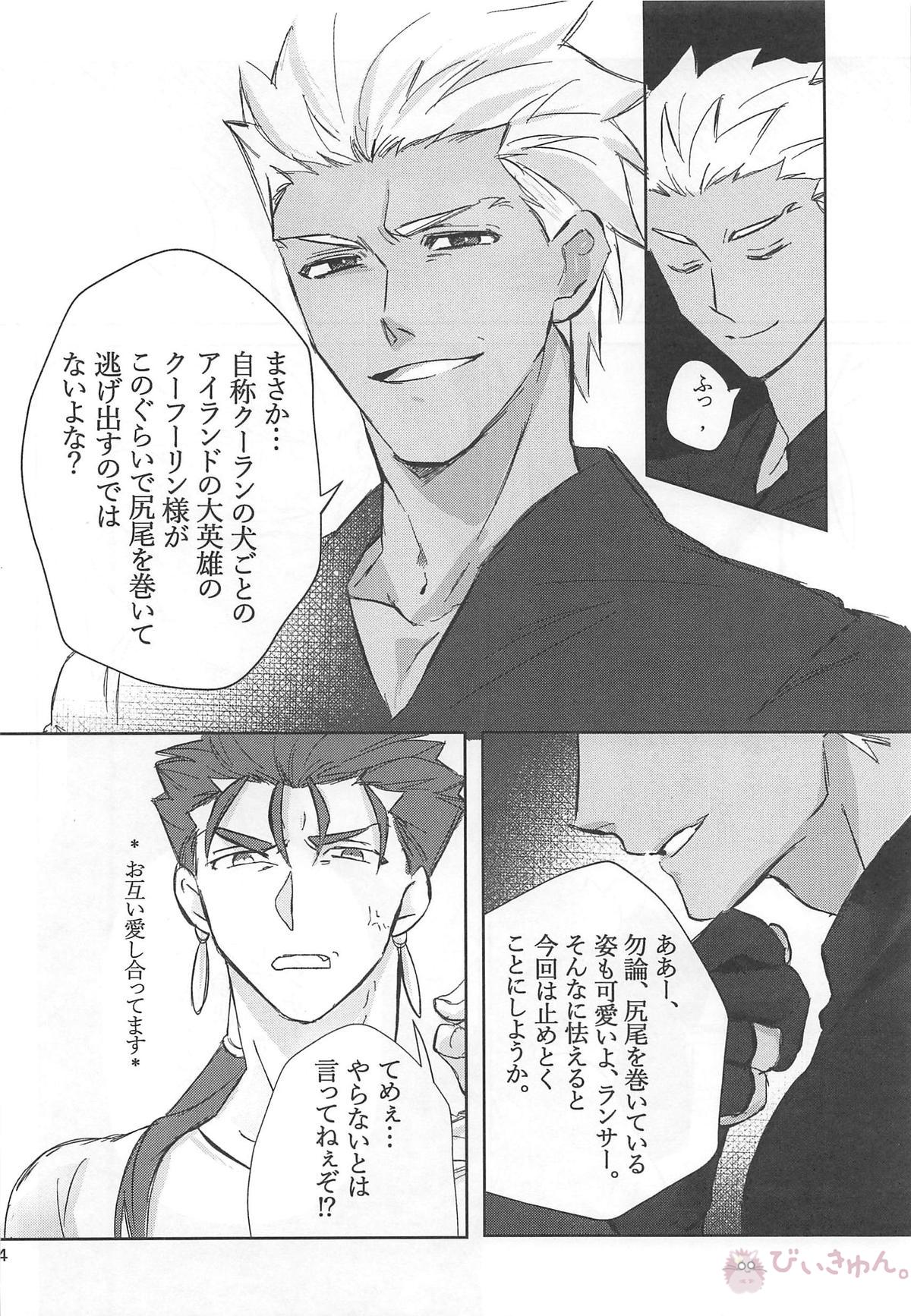 猛犬行動矯正書【Fateシリーズ/弓槍】 page 65