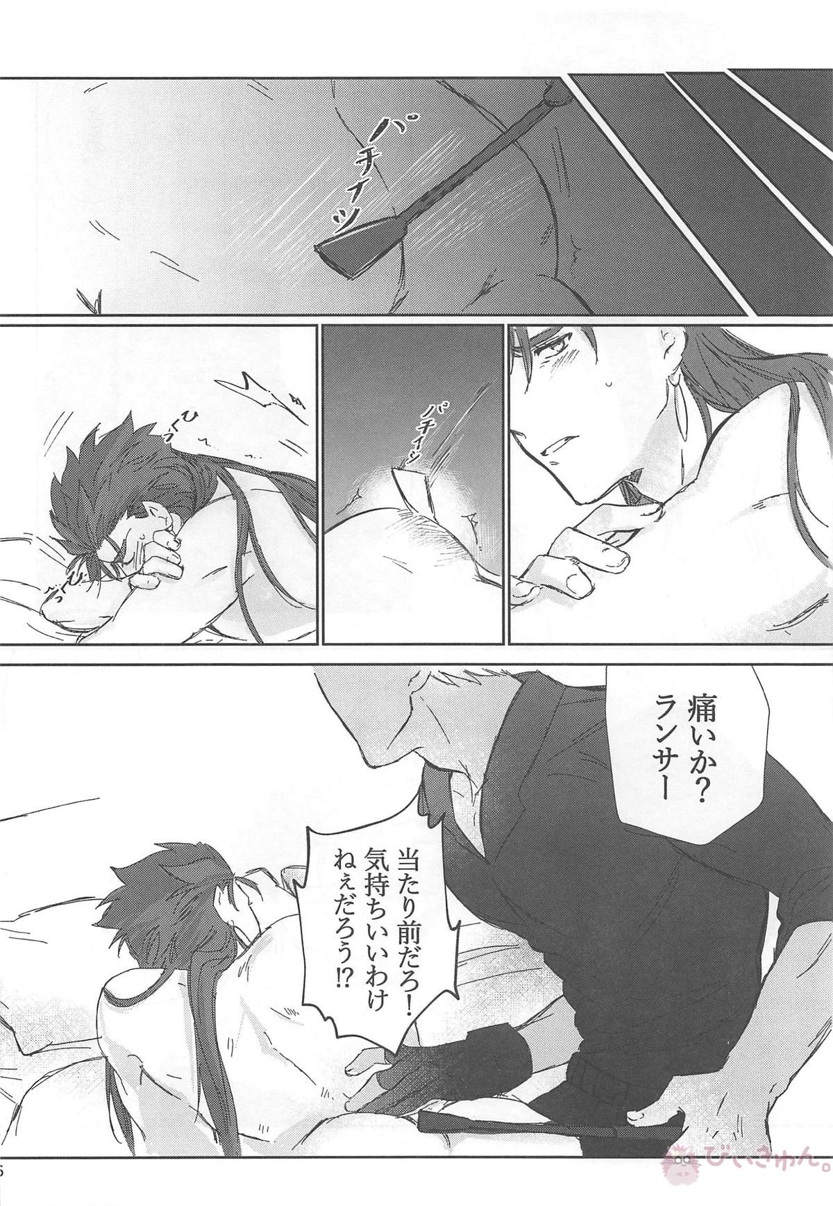 猛犬行動矯正書【Fateシリーズ/弓槍】 page 67