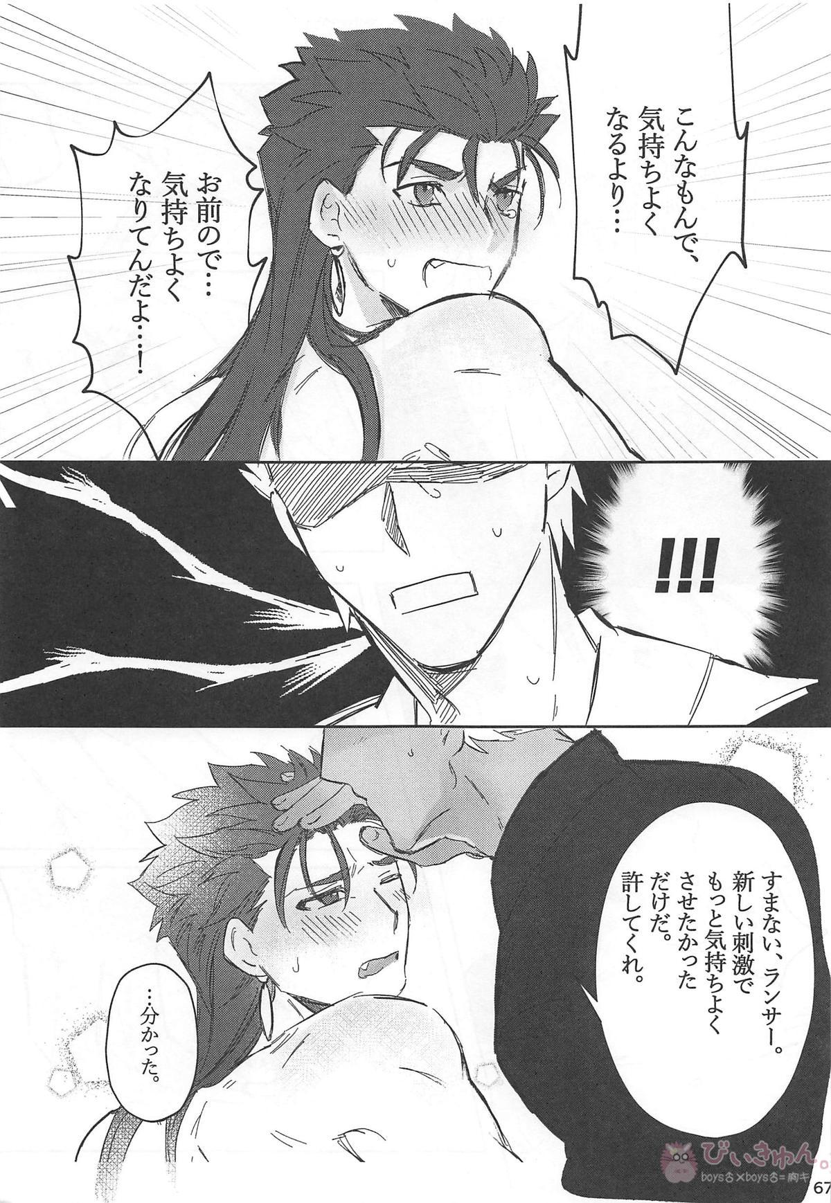 猛犬行動矯正書【Fateシリーズ/弓槍】 page 68