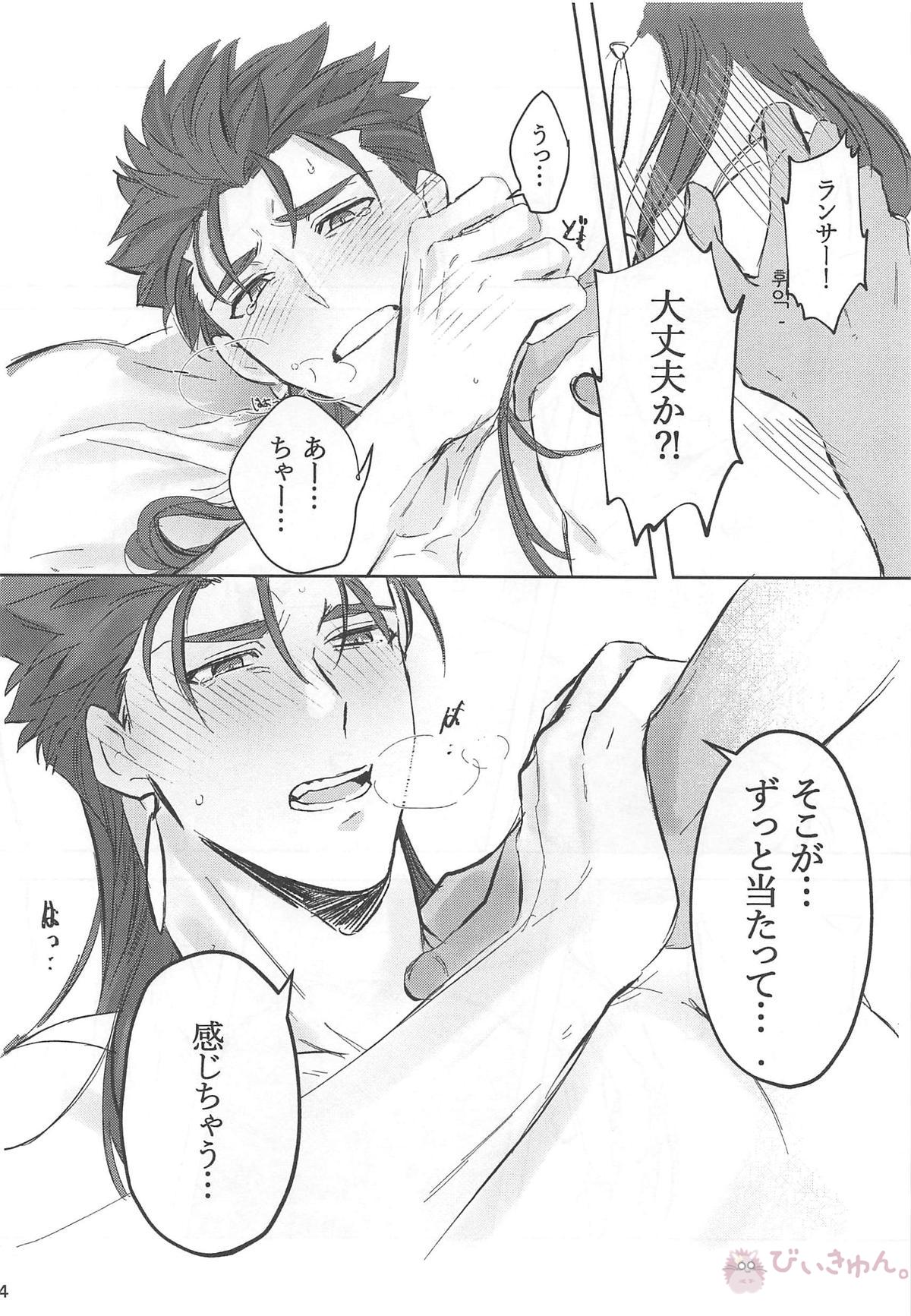 猛犬行動矯正書【Fateシリーズ/弓槍】 page 75
