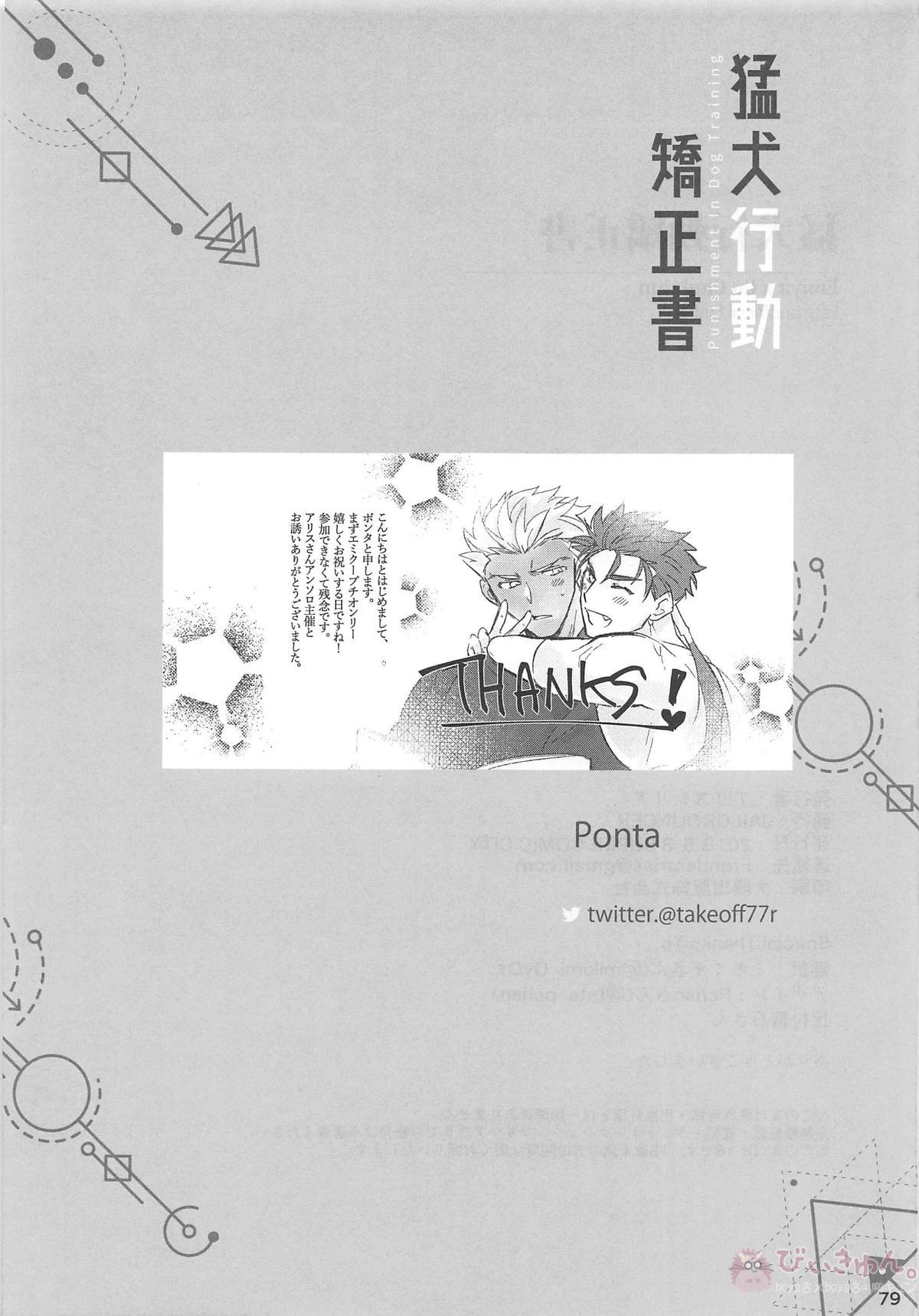 猛犬行動矯正書【Fateシリーズ/弓槍】 page 80