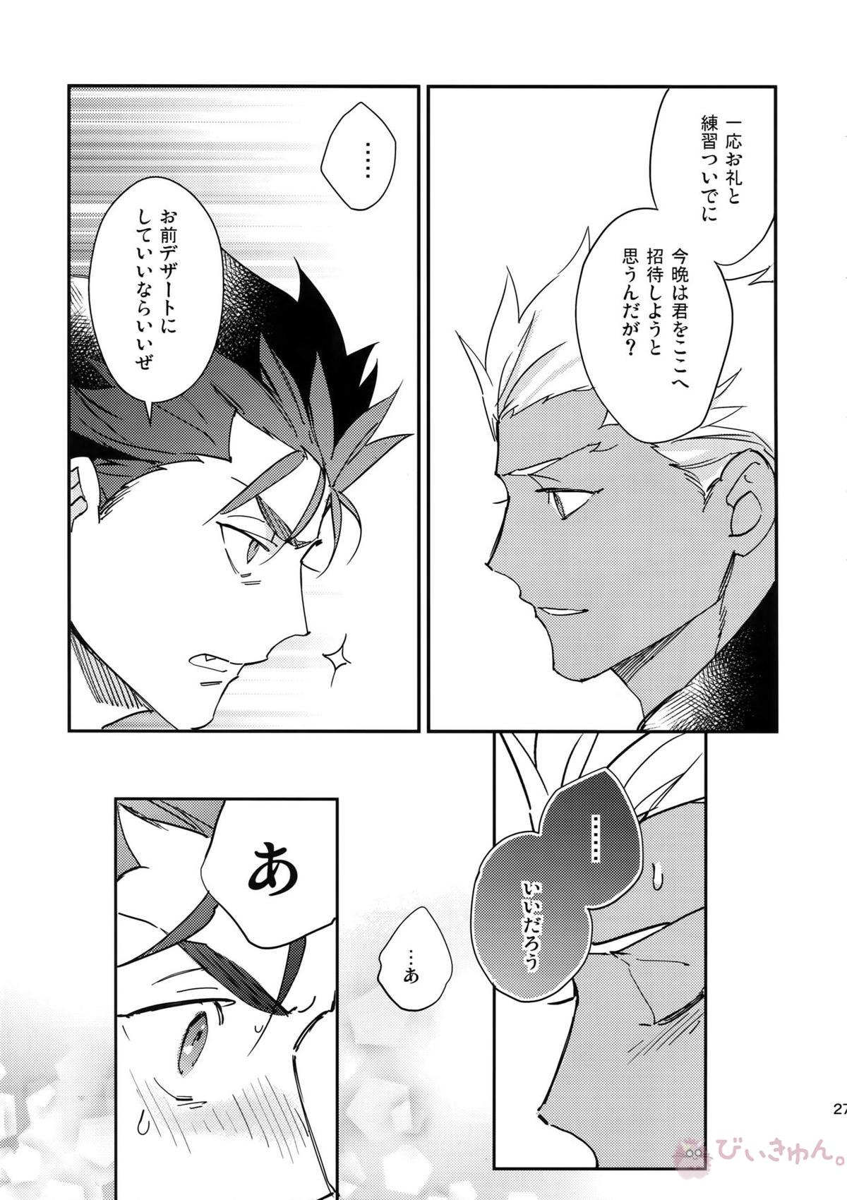 NO EXCUSE【Fateシリーズ/槍弓】 page 26