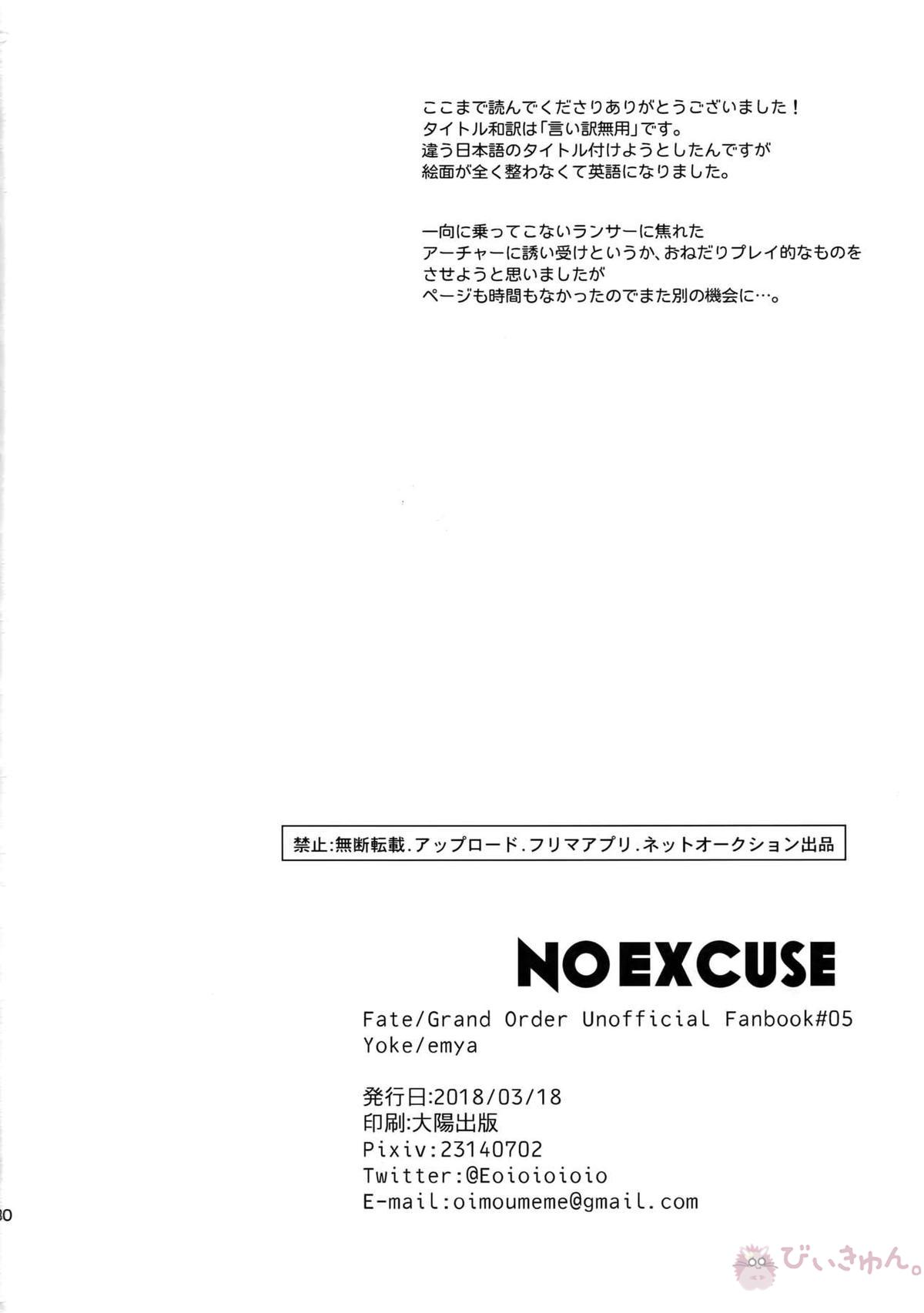 NO EXCUSE【Fateシリーズ/槍弓】 page 29