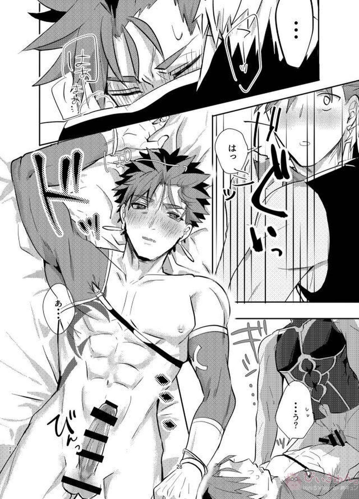 強制執行【Fateシリーズ/弓槍】 page 27