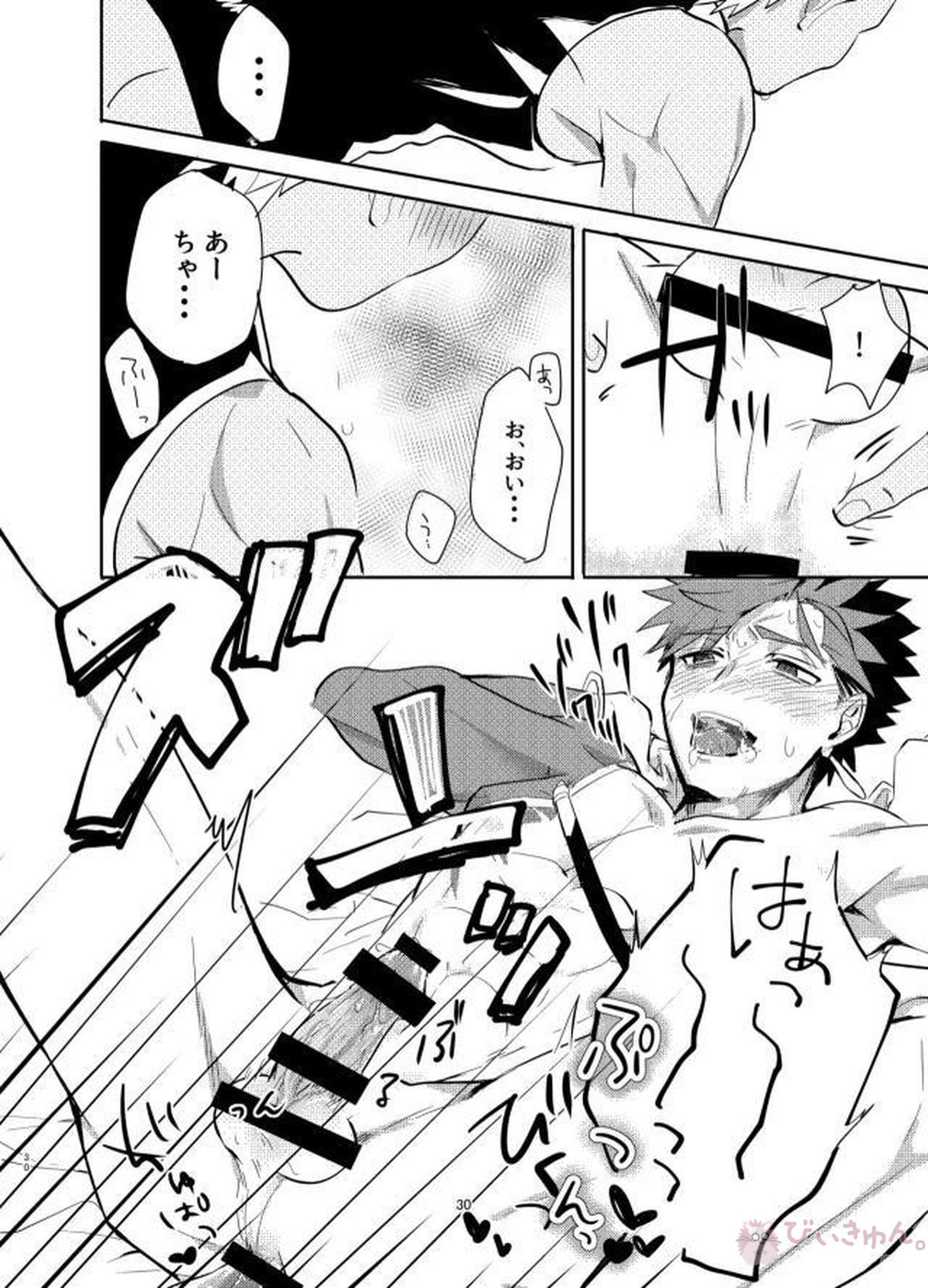 強制執行【Fateシリーズ/弓槍】 page 29