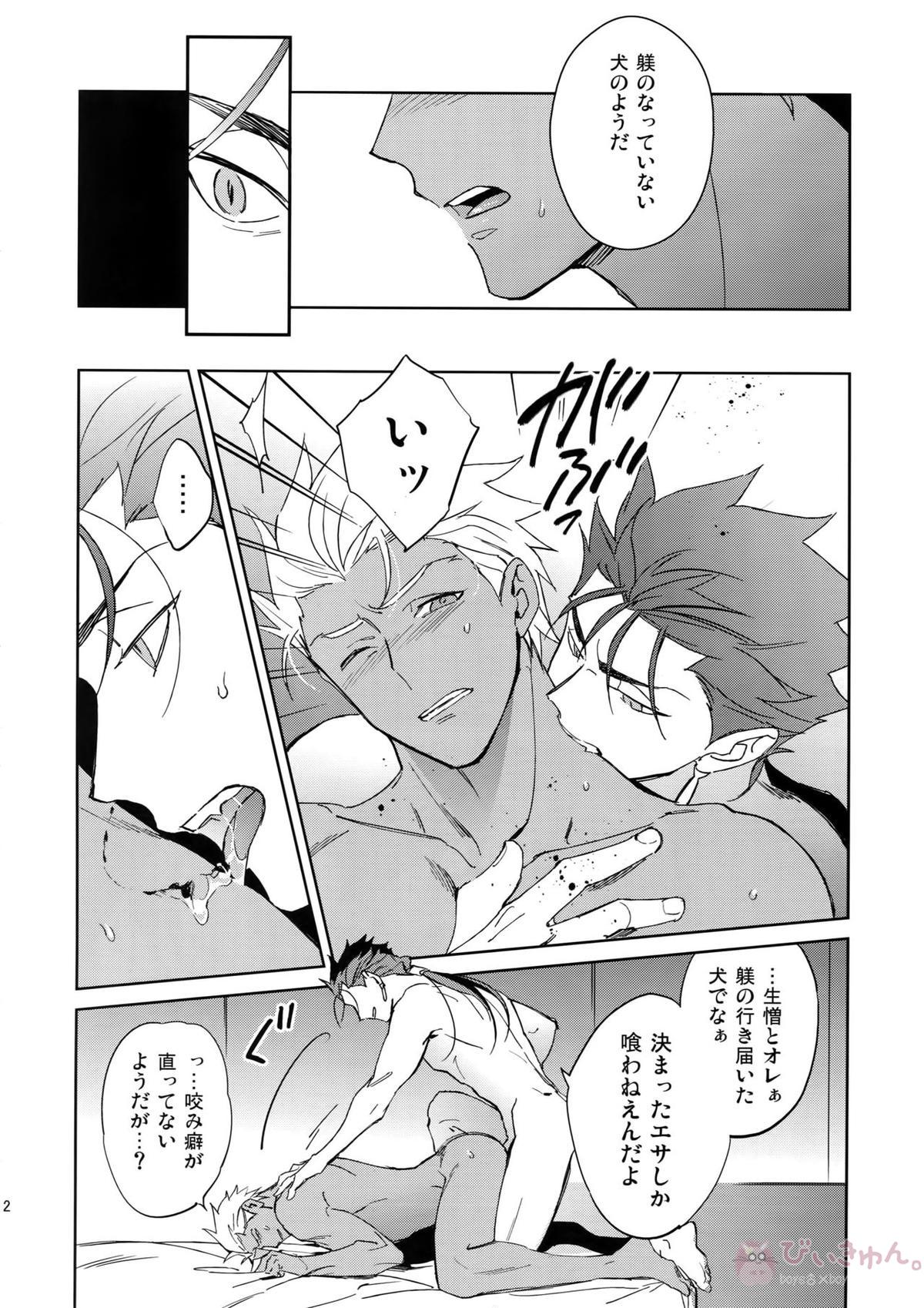 夢幻泡影【Fateシリーズ/槍弓】 page 11