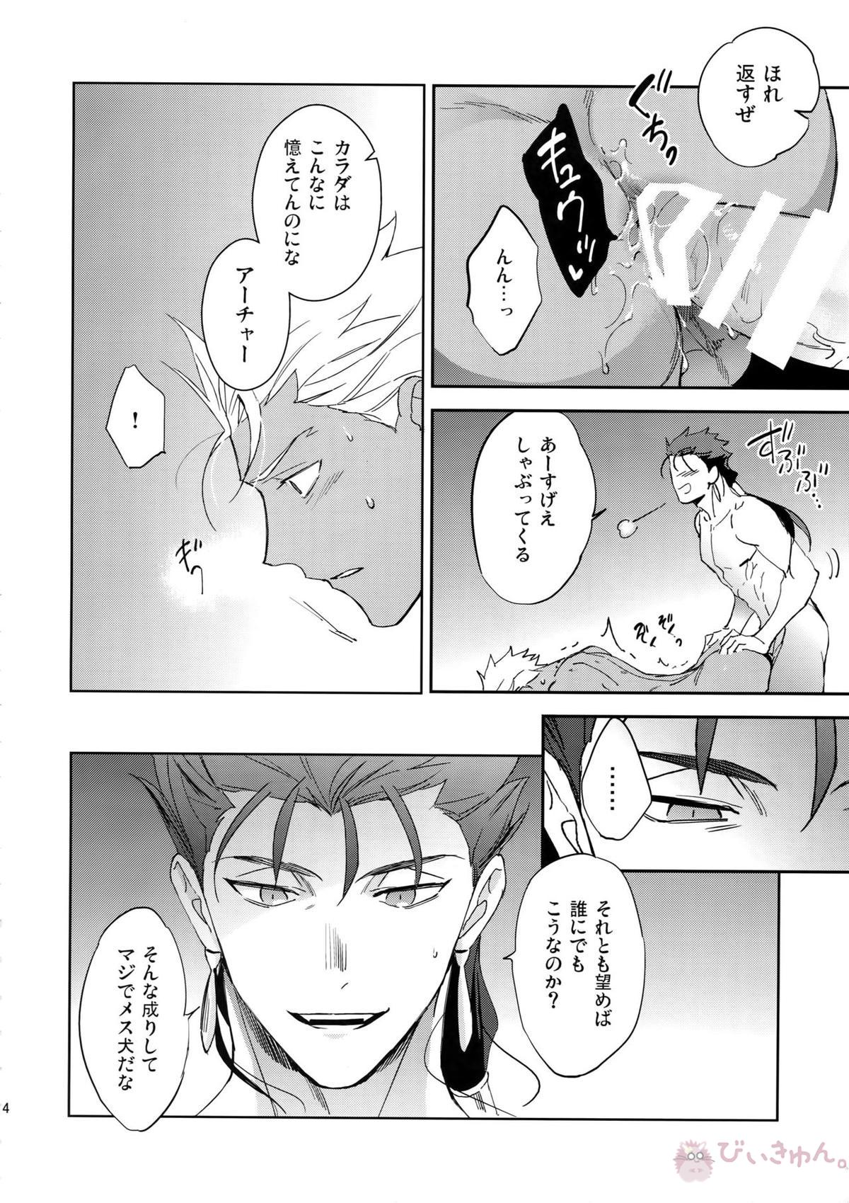 夢幻泡影【Fateシリーズ/槍弓】 page 13
