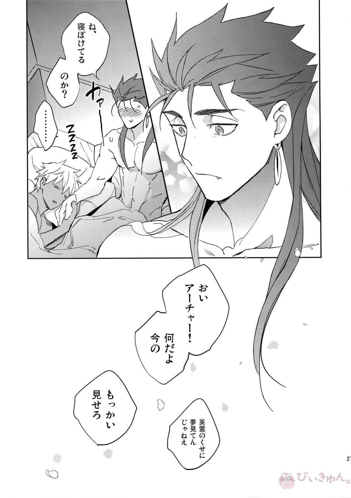 夢幻泡影【Fateシリーズ/槍弓】 page 26