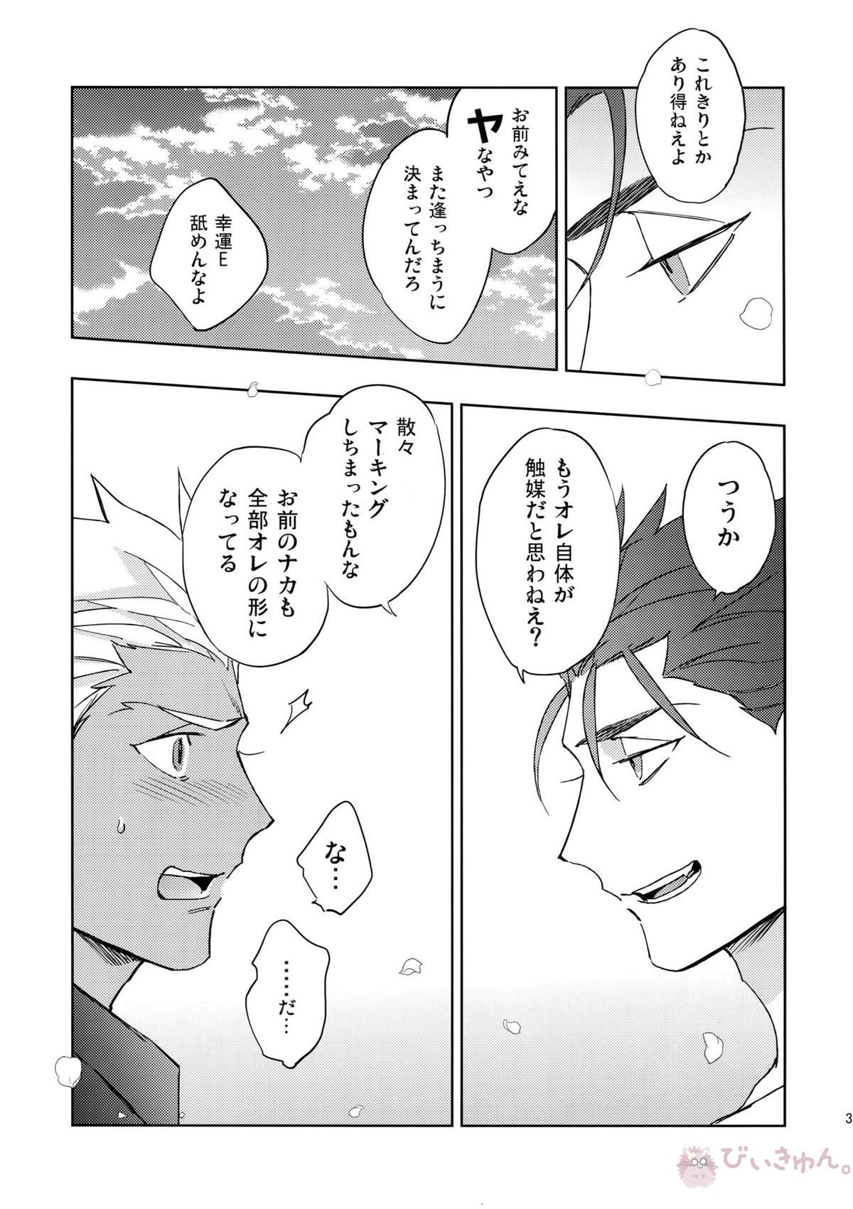 夢幻泡影【Fateシリーズ/槍弓】 page 30