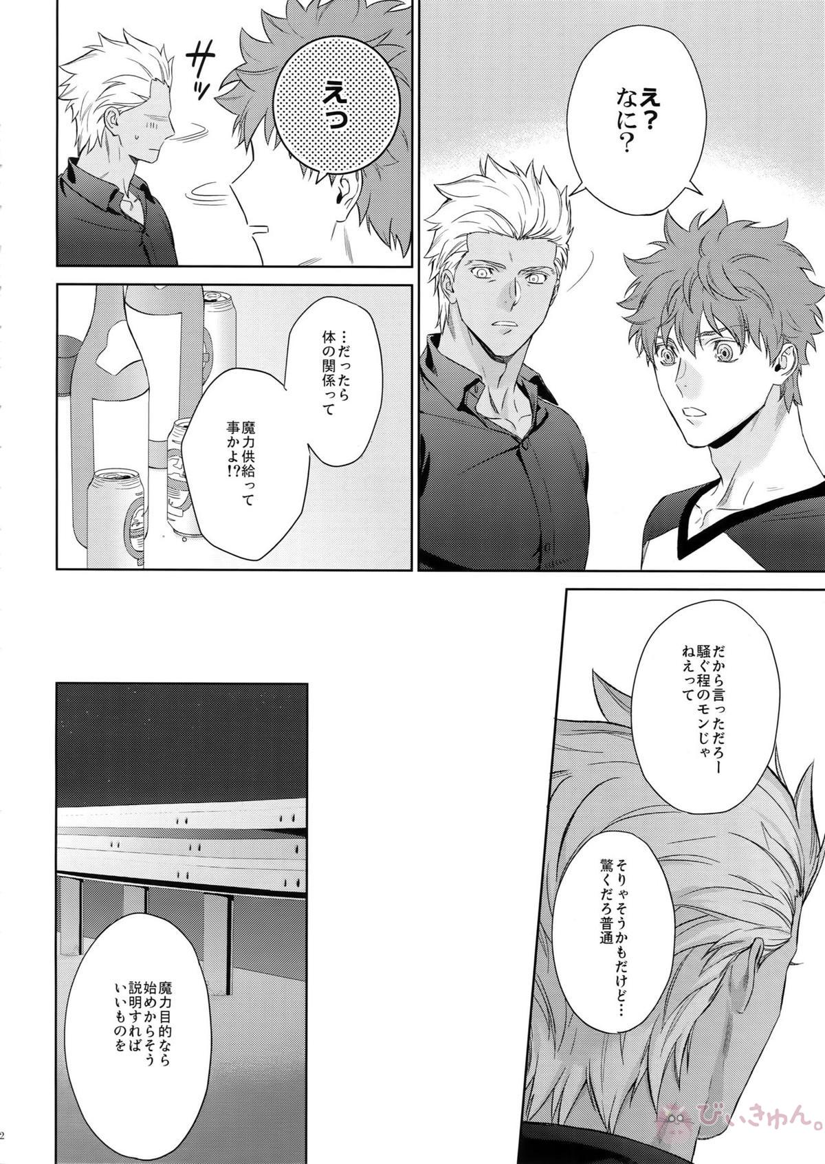 LIAR Liar【Fateシリーズ/弓槍】 page 11