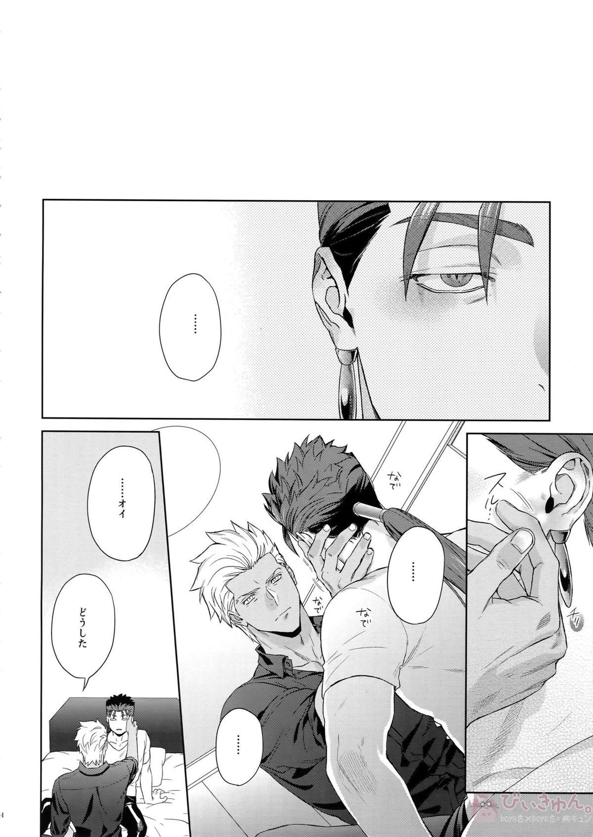 LIAR Liar【Fateシリーズ/弓槍】 page 13