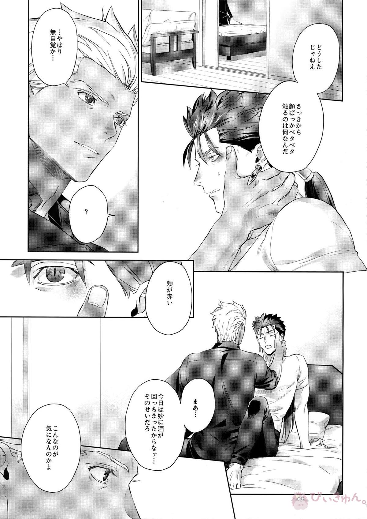 LIAR Liar【Fateシリーズ/弓槍】 page 14