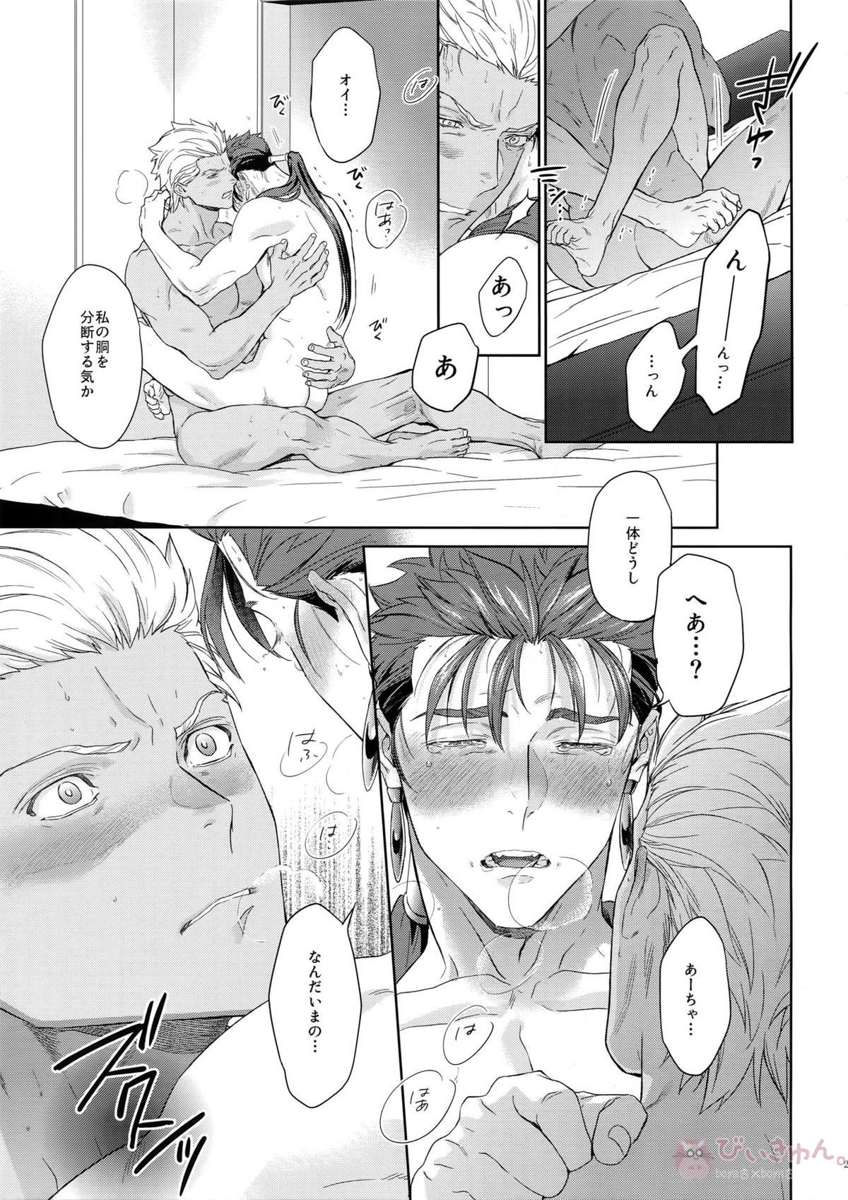 LIAR Liar【Fateシリーズ/弓槍】 page 26