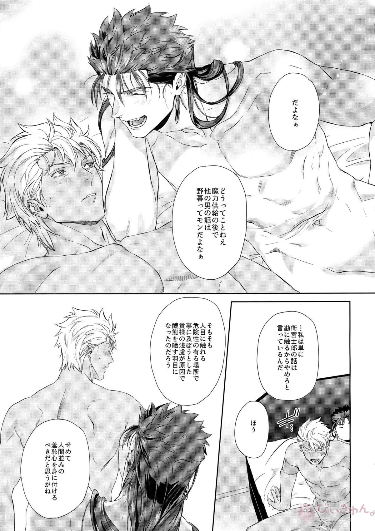 LIAR Liar【Fateシリーズ/弓槍】 page 32