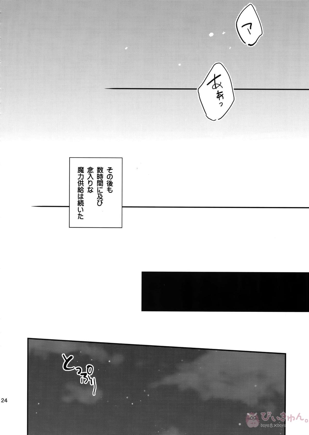 The Last Supper【Fateシリーズ/槍弓】 page 23