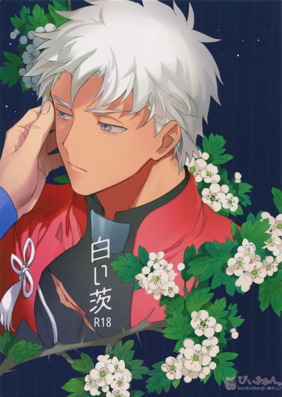 Recommended BL manga "白い茨【Fateシリーズ/槍弓】" cover image