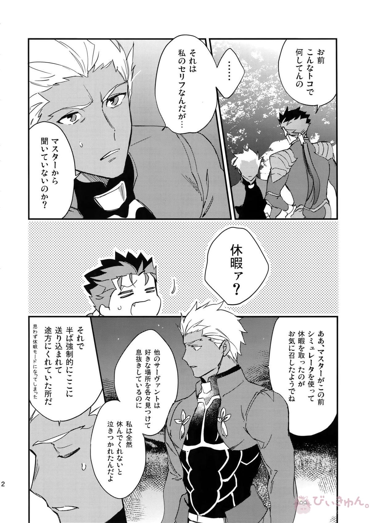 白い茨【Fateシリーズ/槍弓】 page 11
