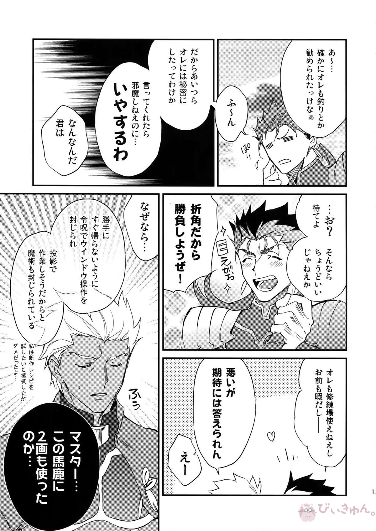 白い茨【Fateシリーズ/槍弓】 page 12