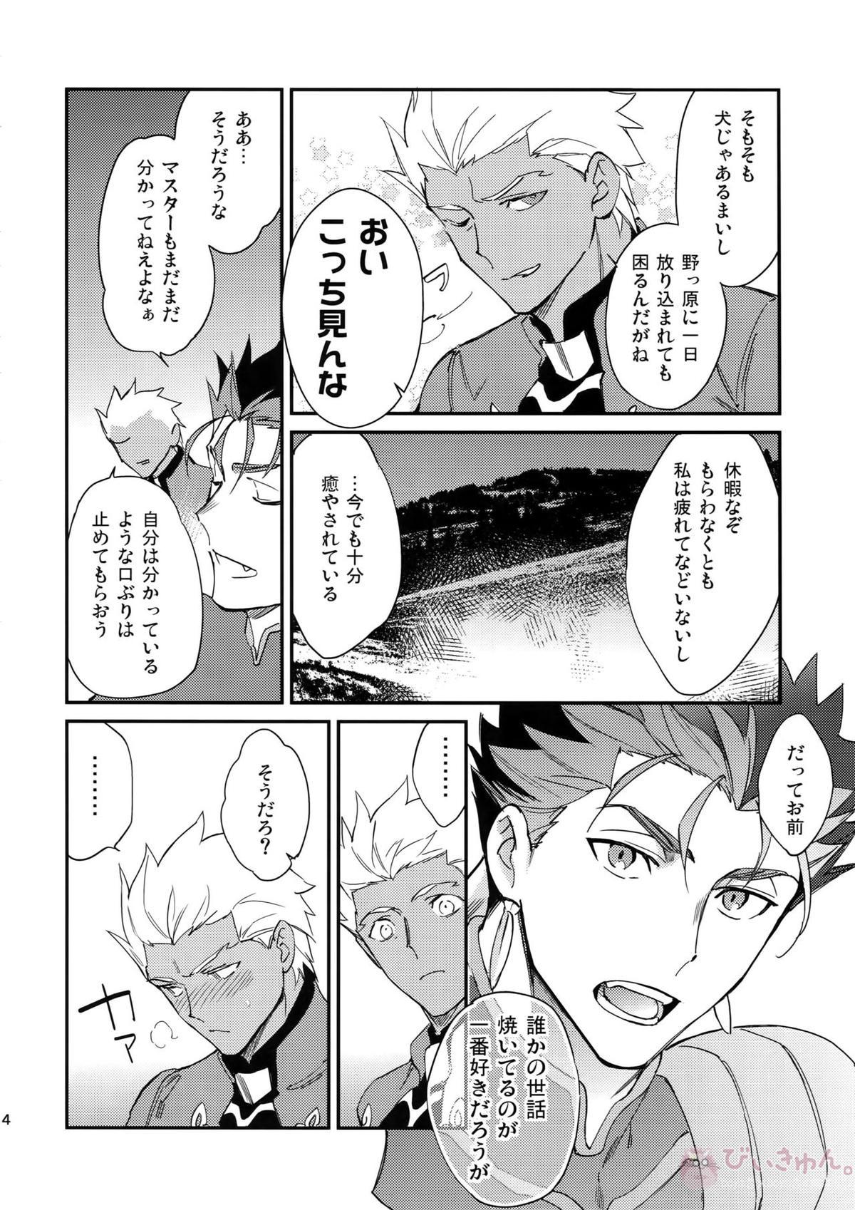 白い茨【Fateシリーズ/槍弓】 page 13