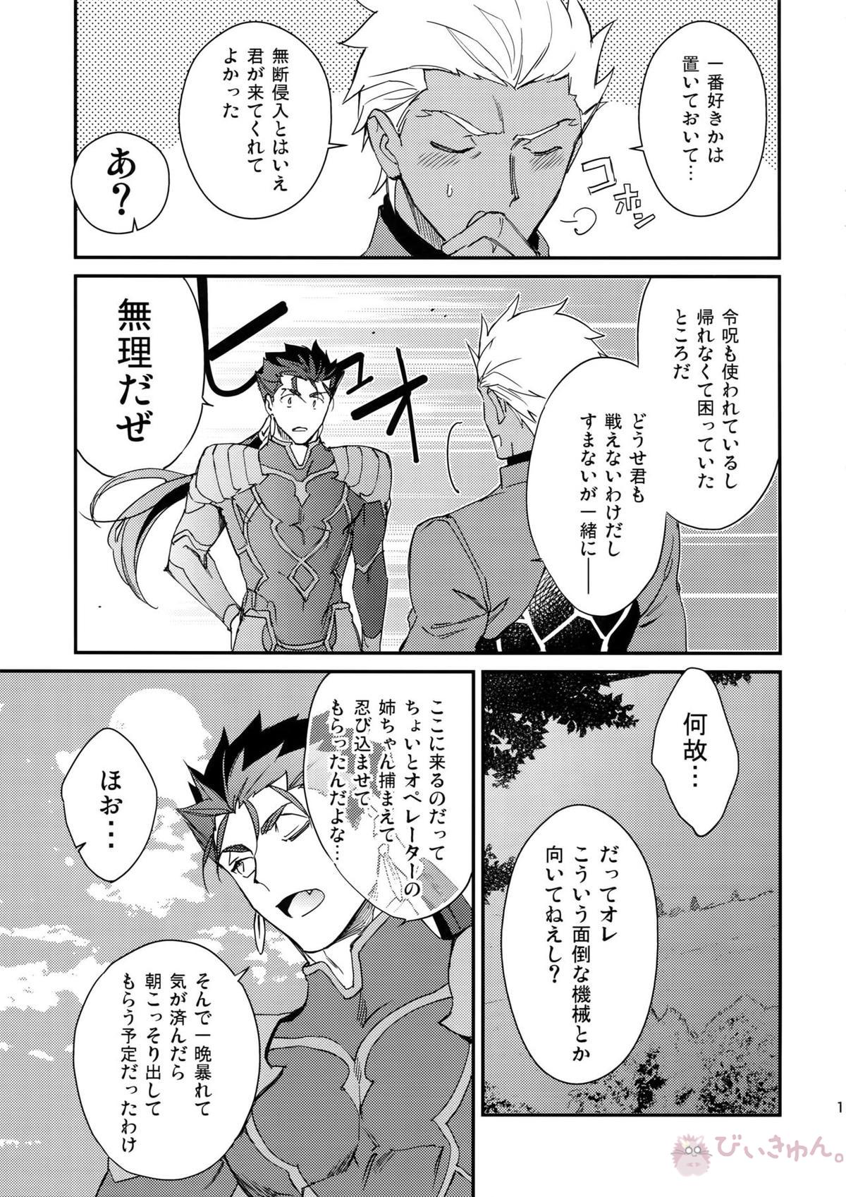 白い茨【Fateシリーズ/槍弓】 page 14