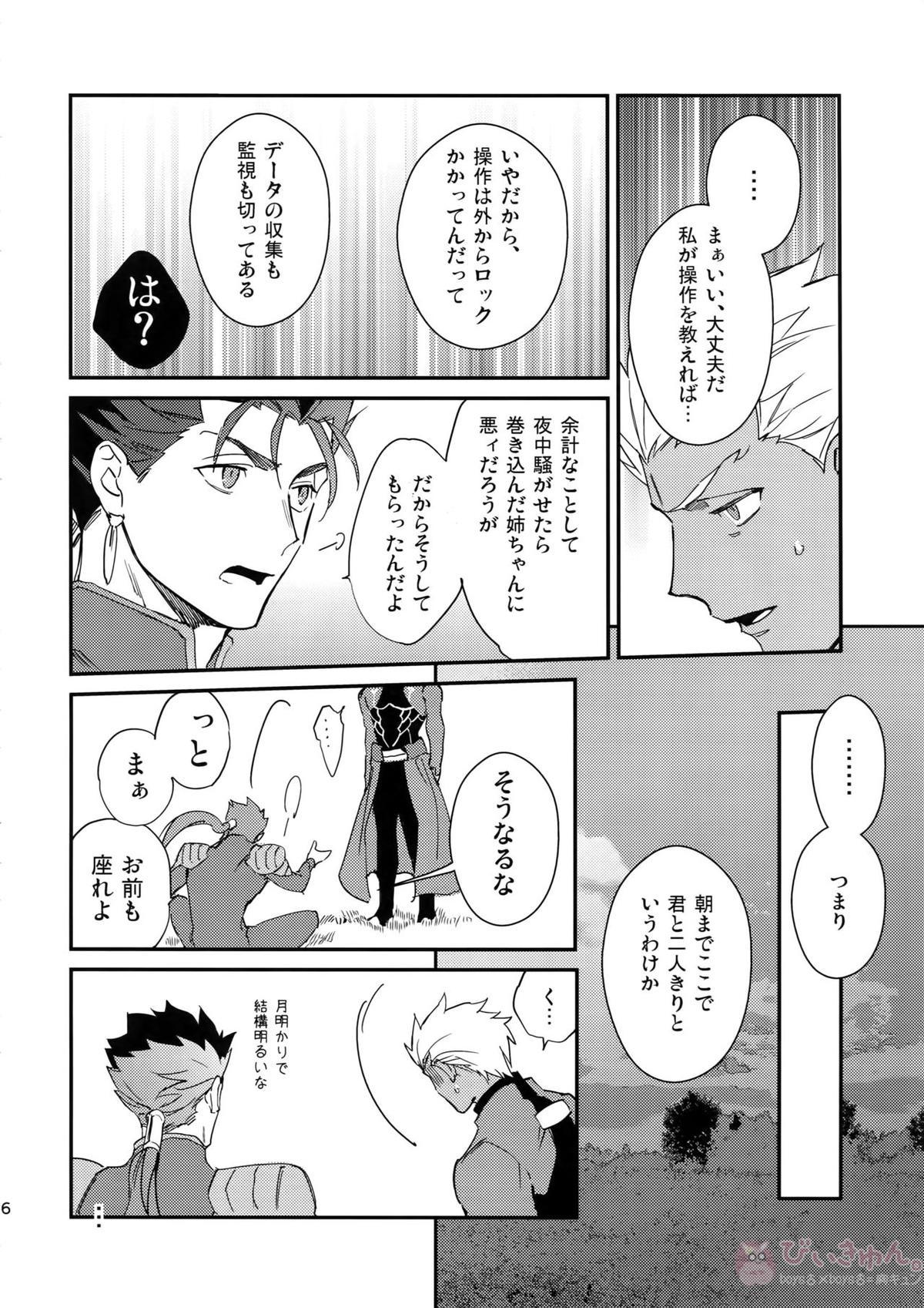 白い茨【Fateシリーズ/槍弓】 page 15