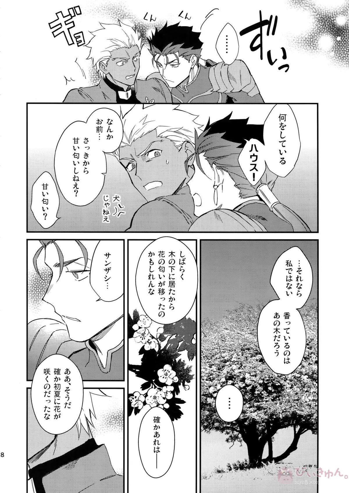 白い茨【Fateシリーズ/槍弓】 page 17