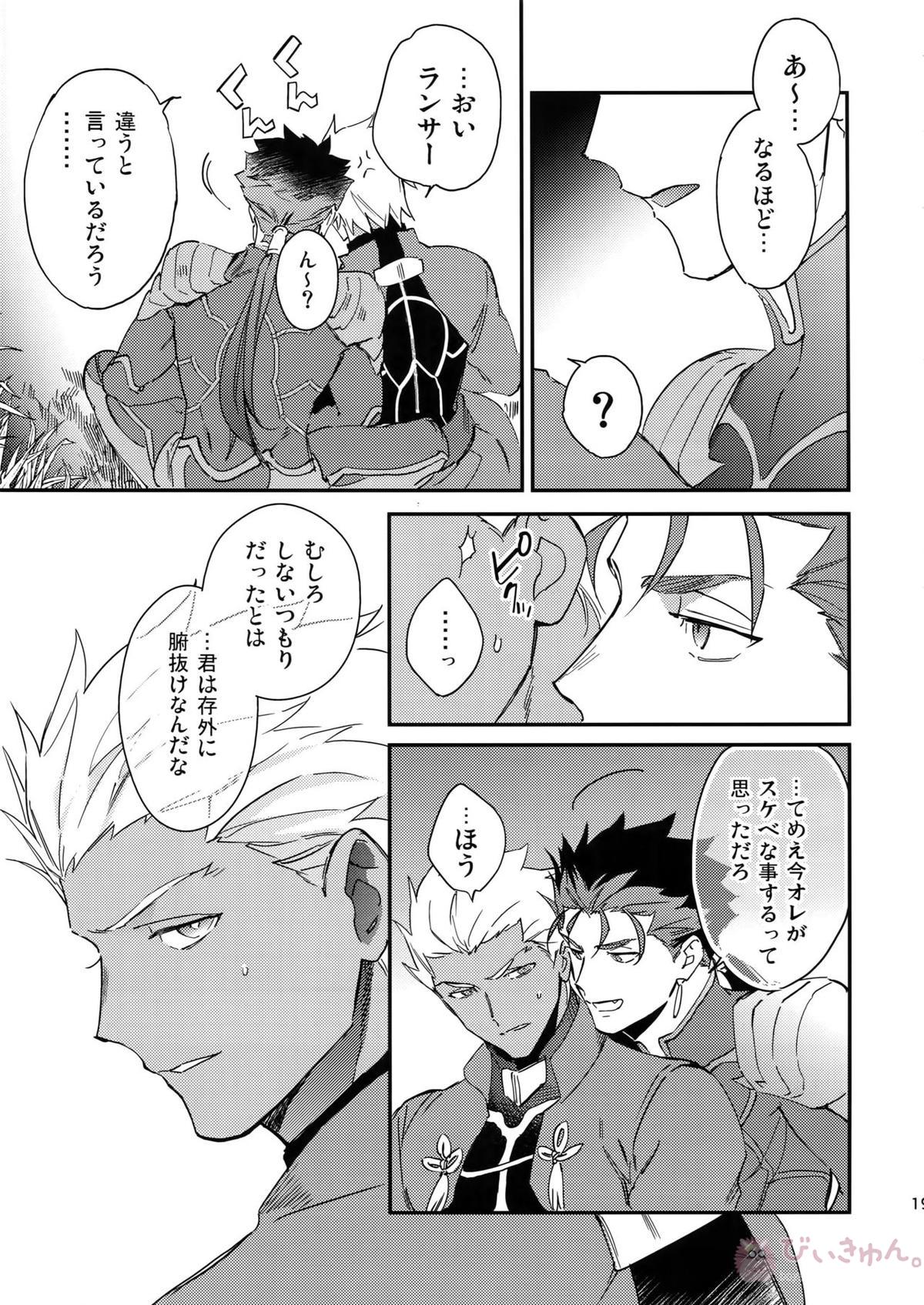 白い茨【Fateシリーズ/槍弓】 page 18