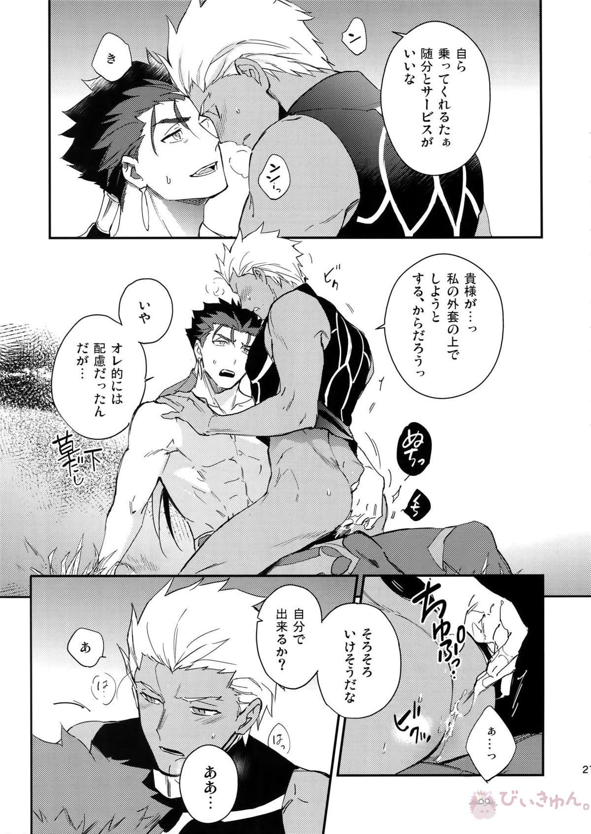 白い茨【Fateシリーズ/槍弓】 page 20