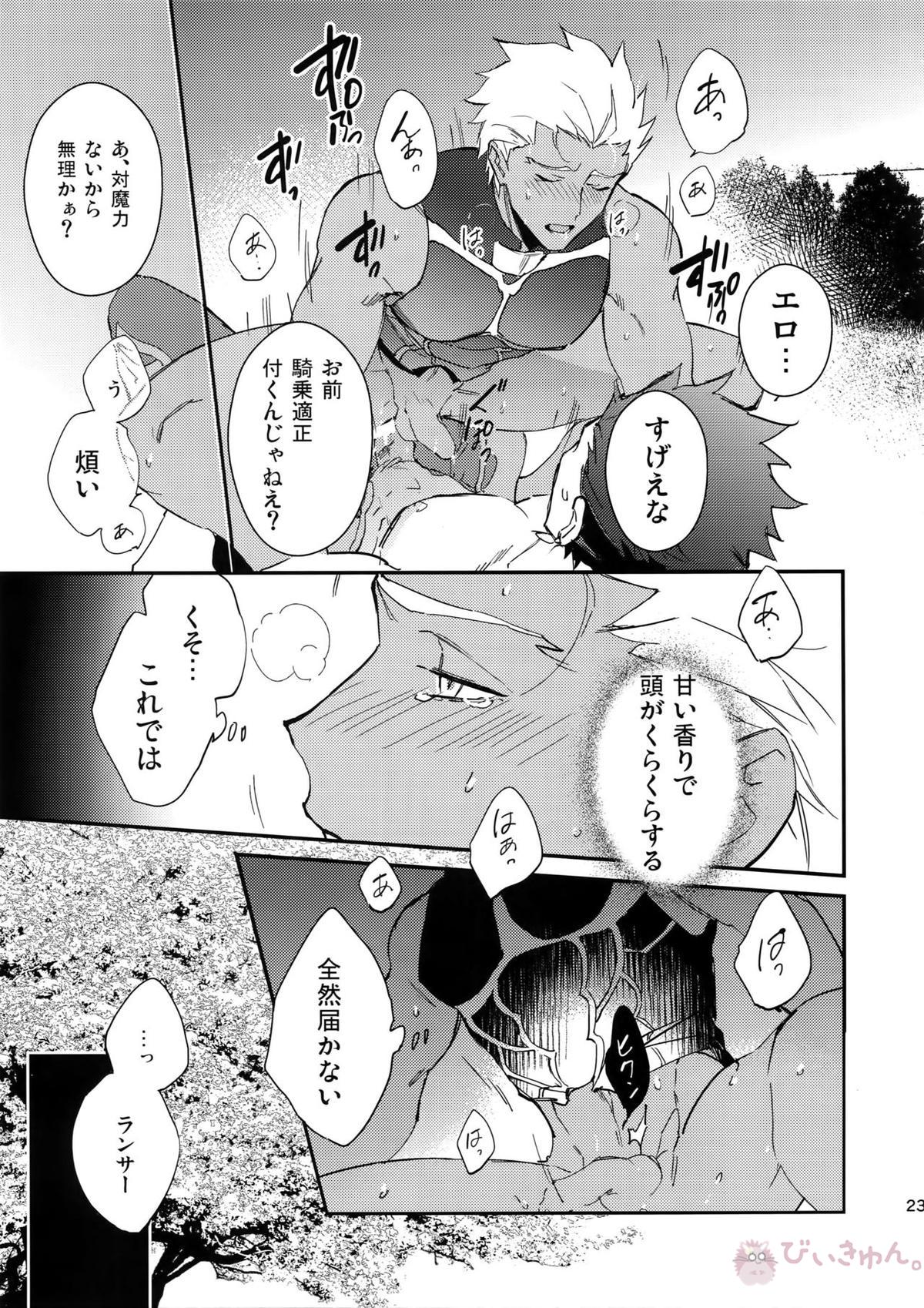 白い茨【Fateシリーズ/槍弓】 page 22
