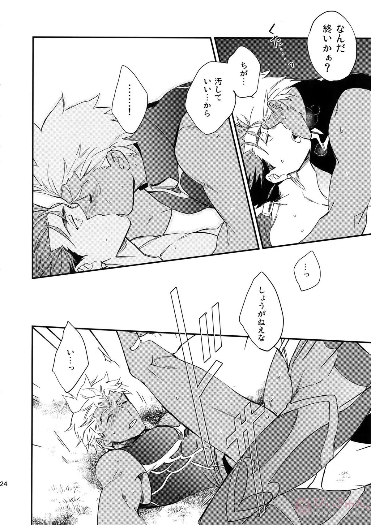 白い茨【Fateシリーズ/槍弓】 page 23