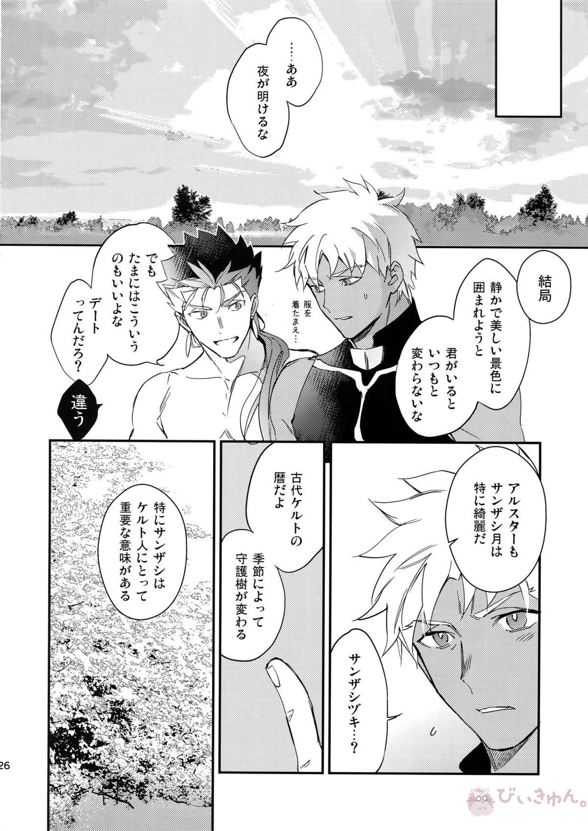 白い茨【Fateシリーズ/槍弓】 page 25