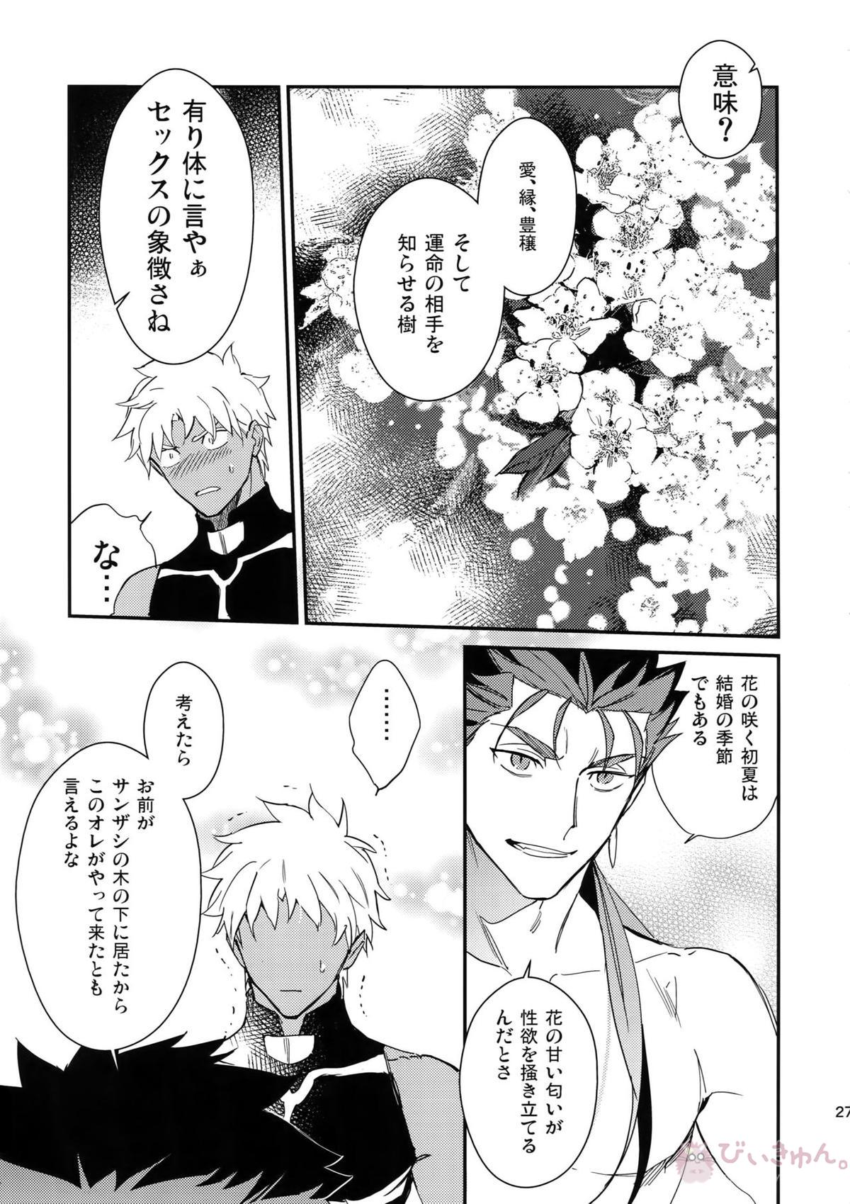 白い茨【Fateシリーズ/槍弓】 page 26