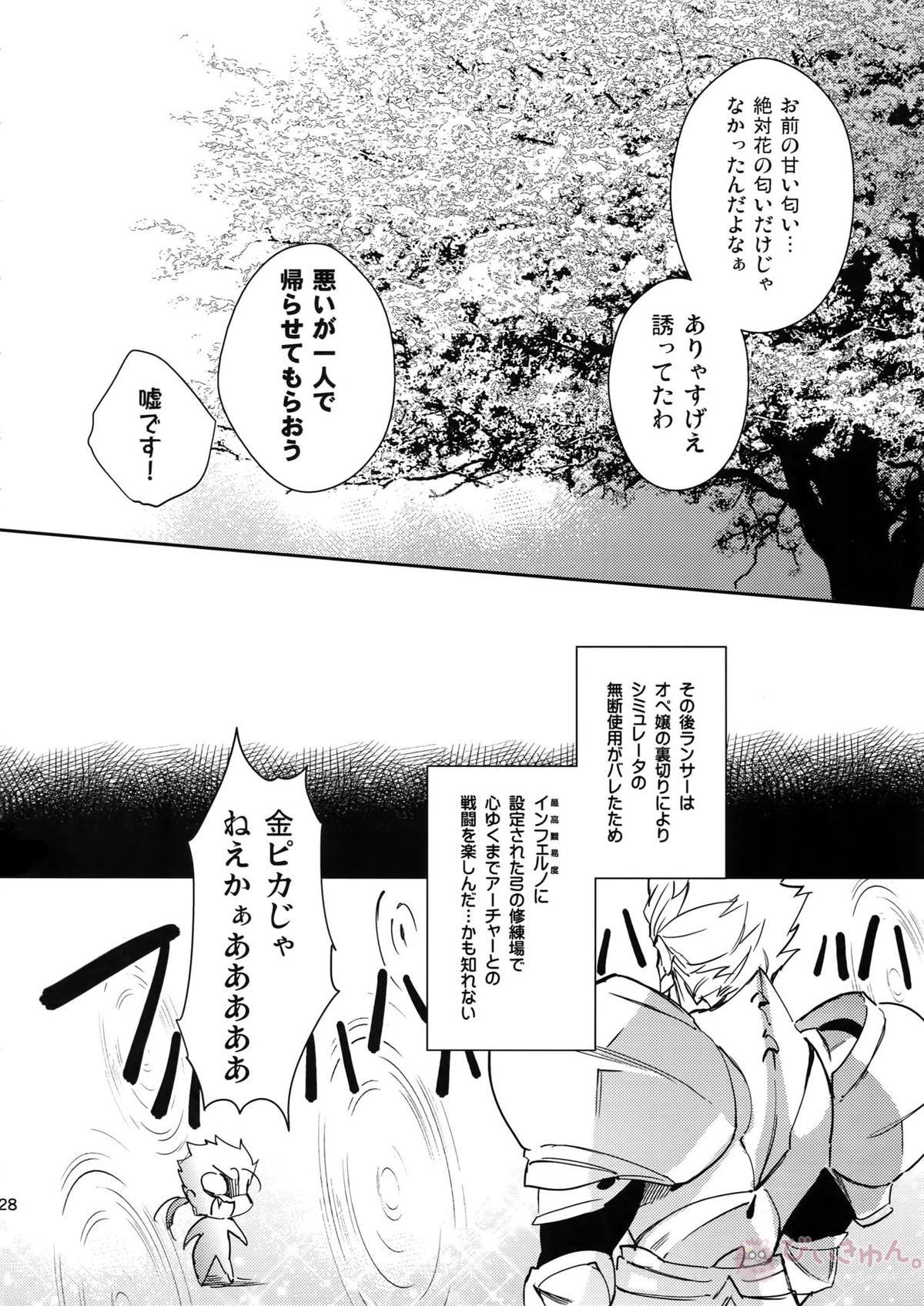 白い茨【Fateシリーズ/槍弓】 page 27