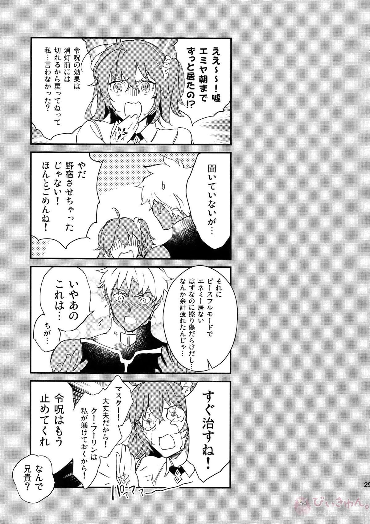 白い茨【Fateシリーズ/槍弓】 page 28