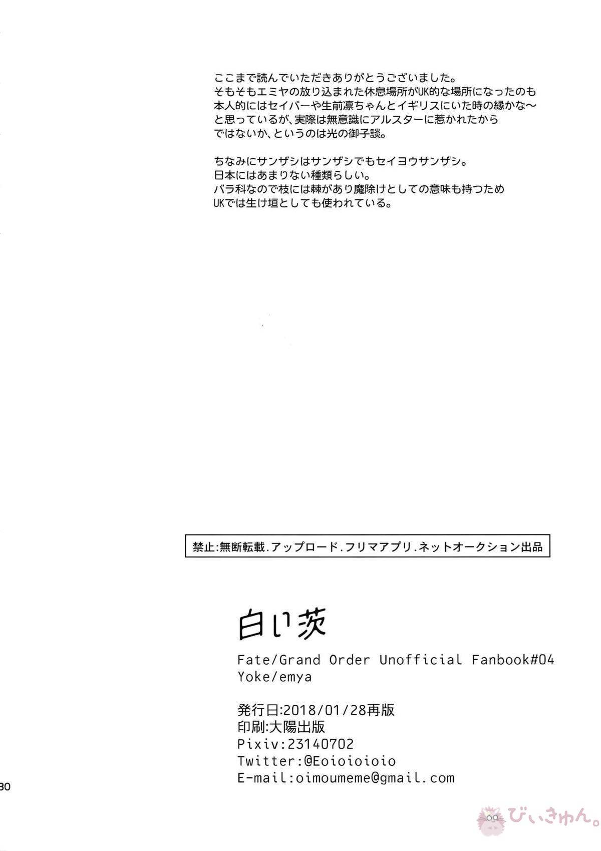 白い茨【Fateシリーズ/槍弓】 page 29
