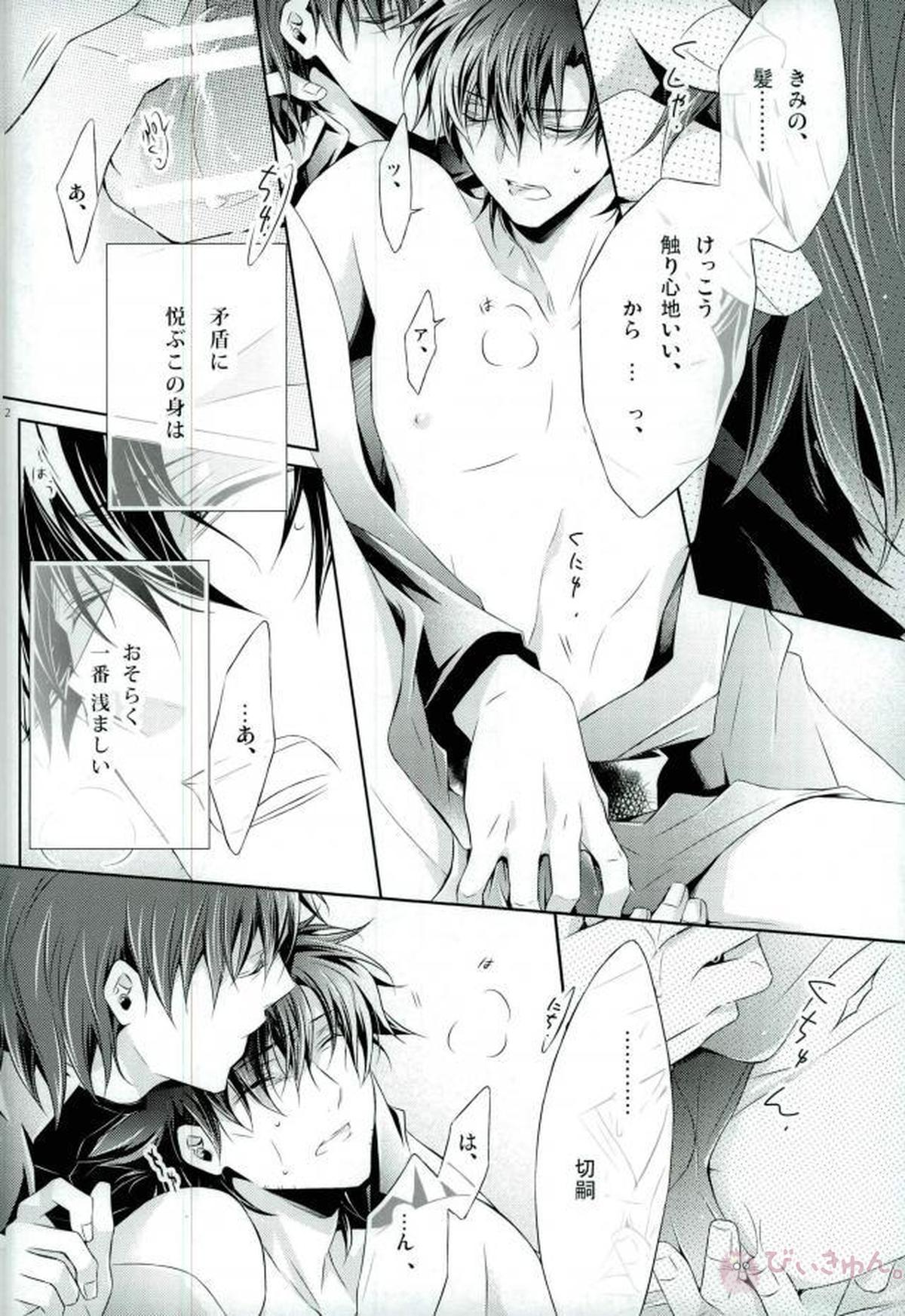 PRIDELESS【Fateシリーズ/言切】 page 18