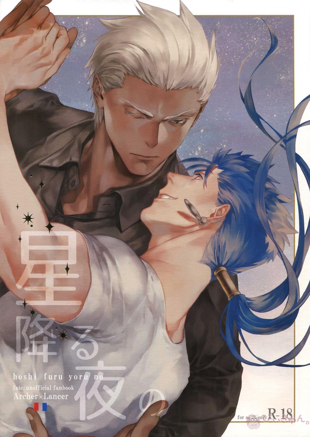 BL manga "星降る夜の【Fateシリーズ/弓槍】" cover image