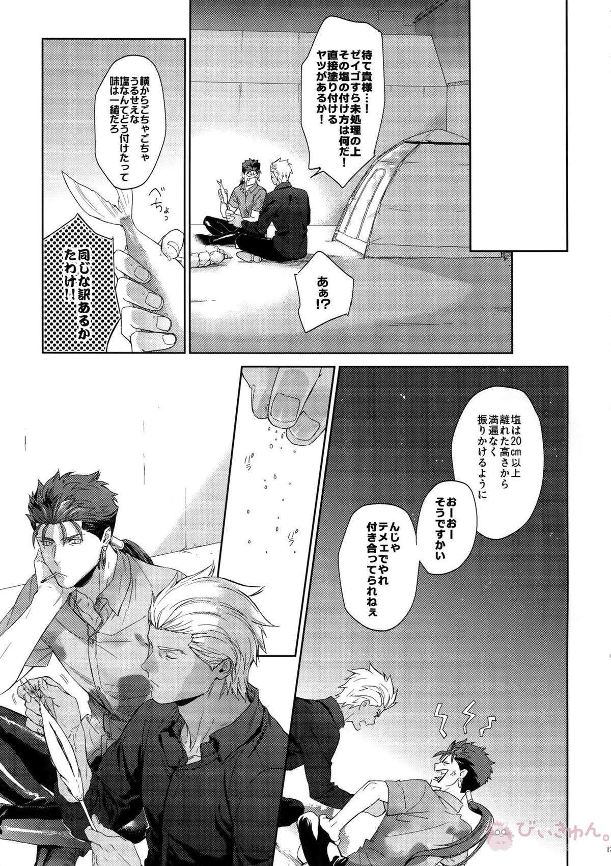 星降る夜の【Fateシリーズ/弓槍】 page 12
